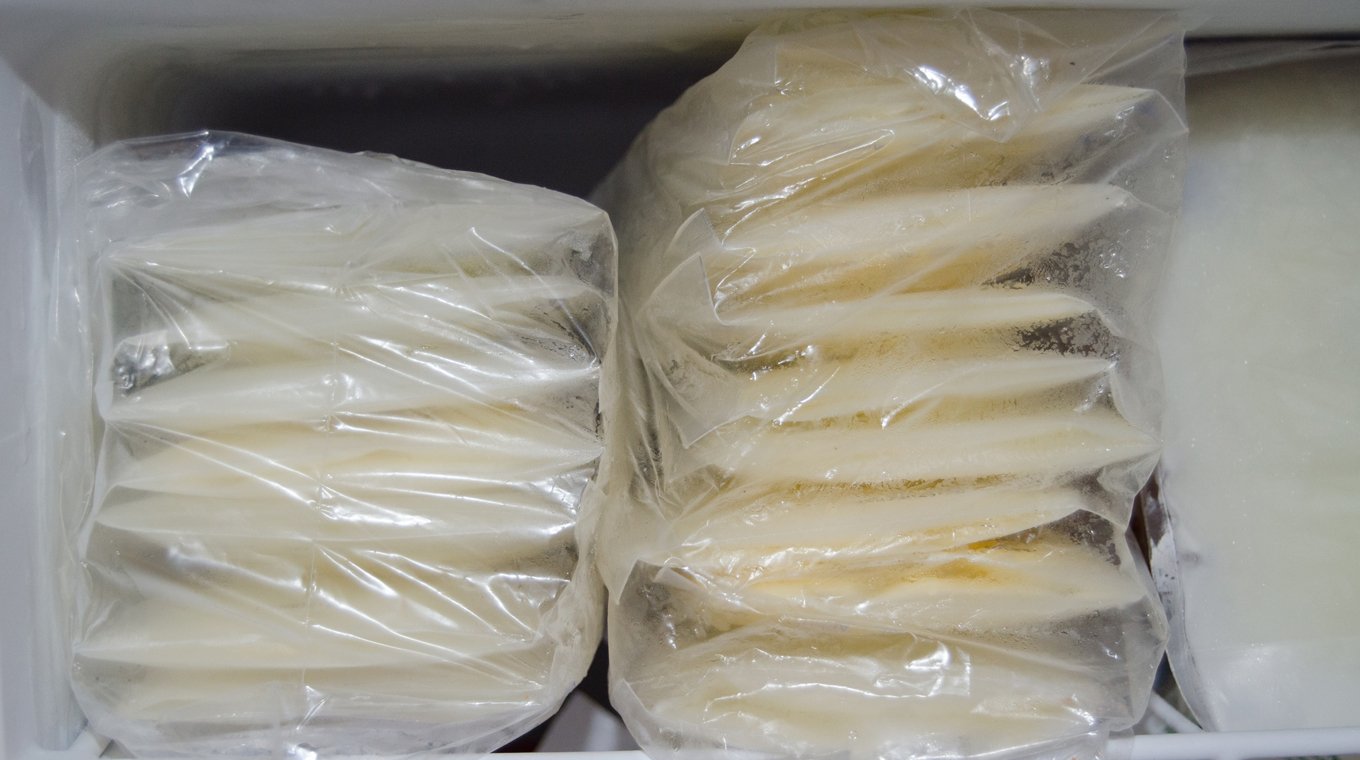 how_to_store_breastmilk_2.jpg