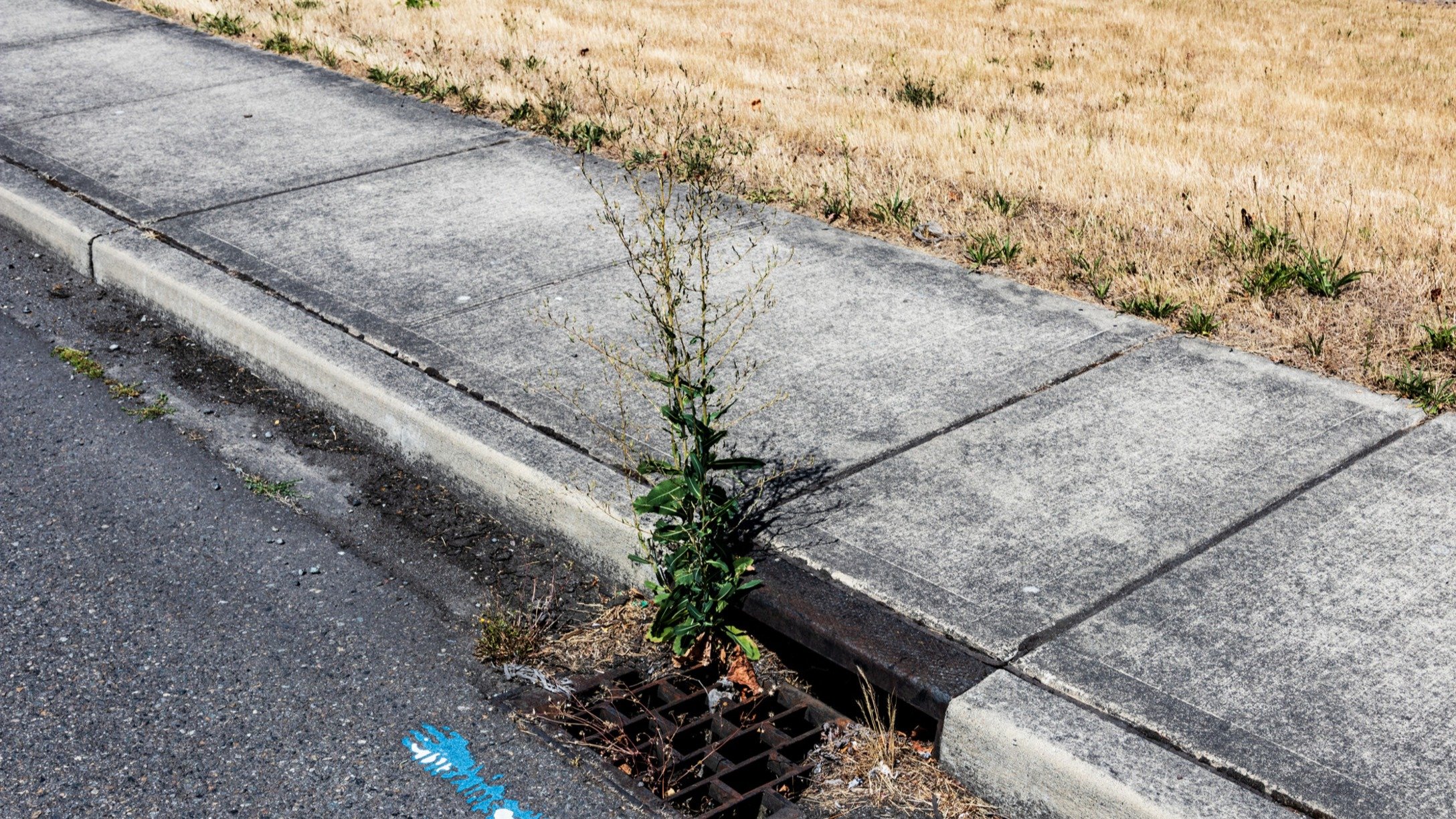 pavement