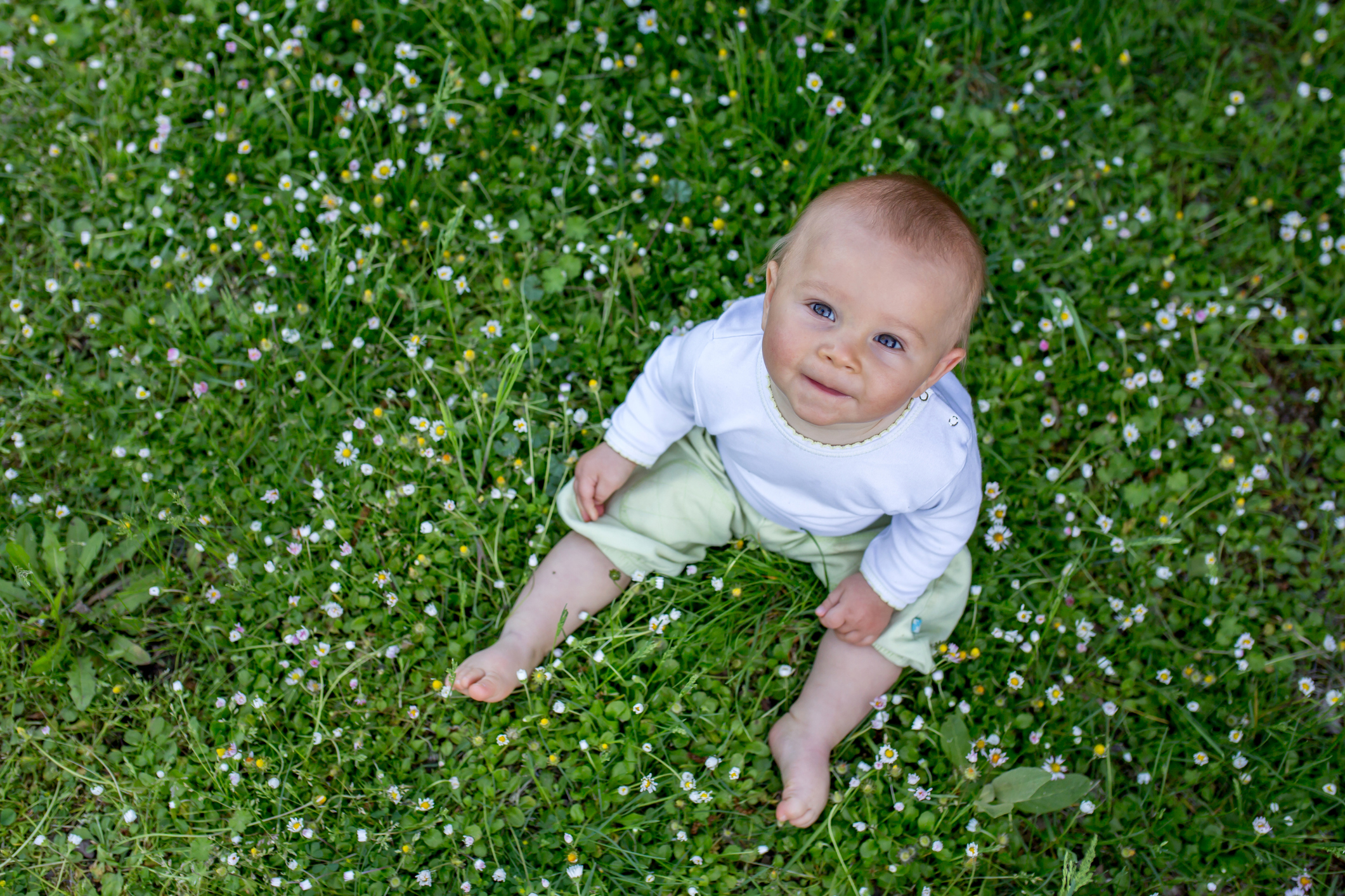 Cute toddler boy, sitting on the grass, daisies around him