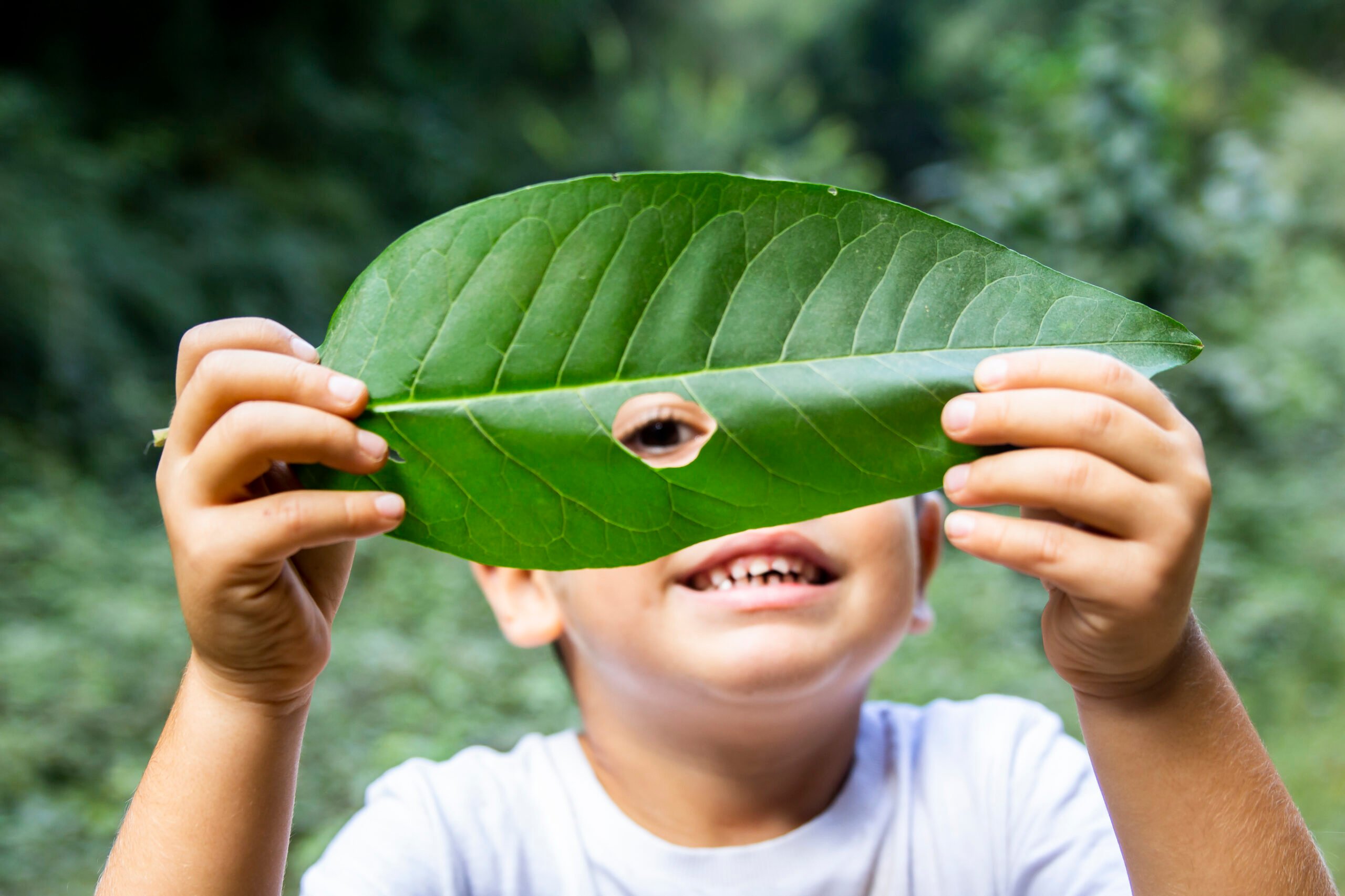 Little boy looking through a hole in a leaf