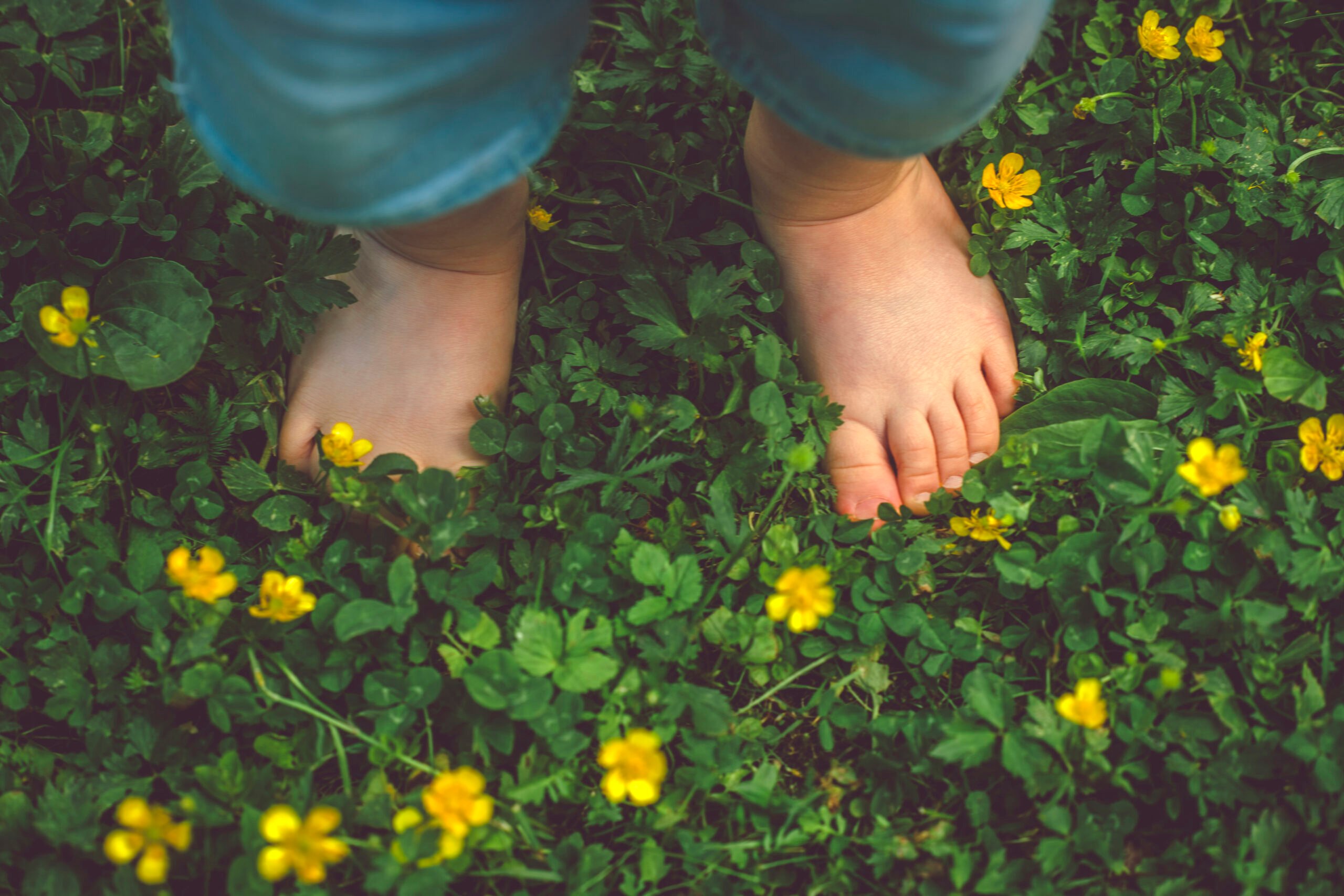 Child's feet on the green grass