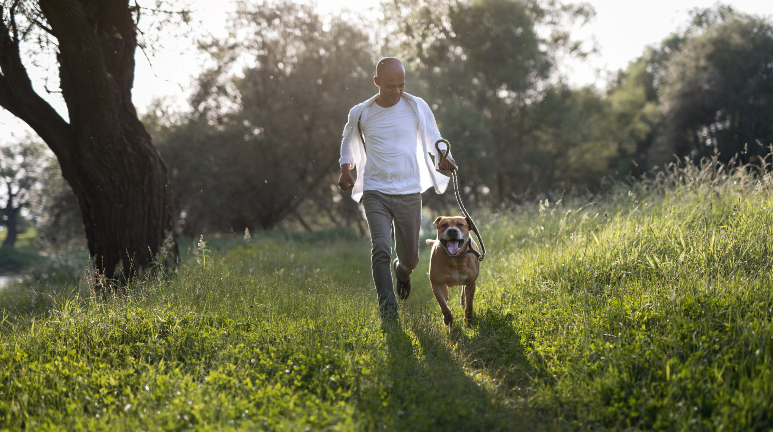 Man running with his dog at sunset