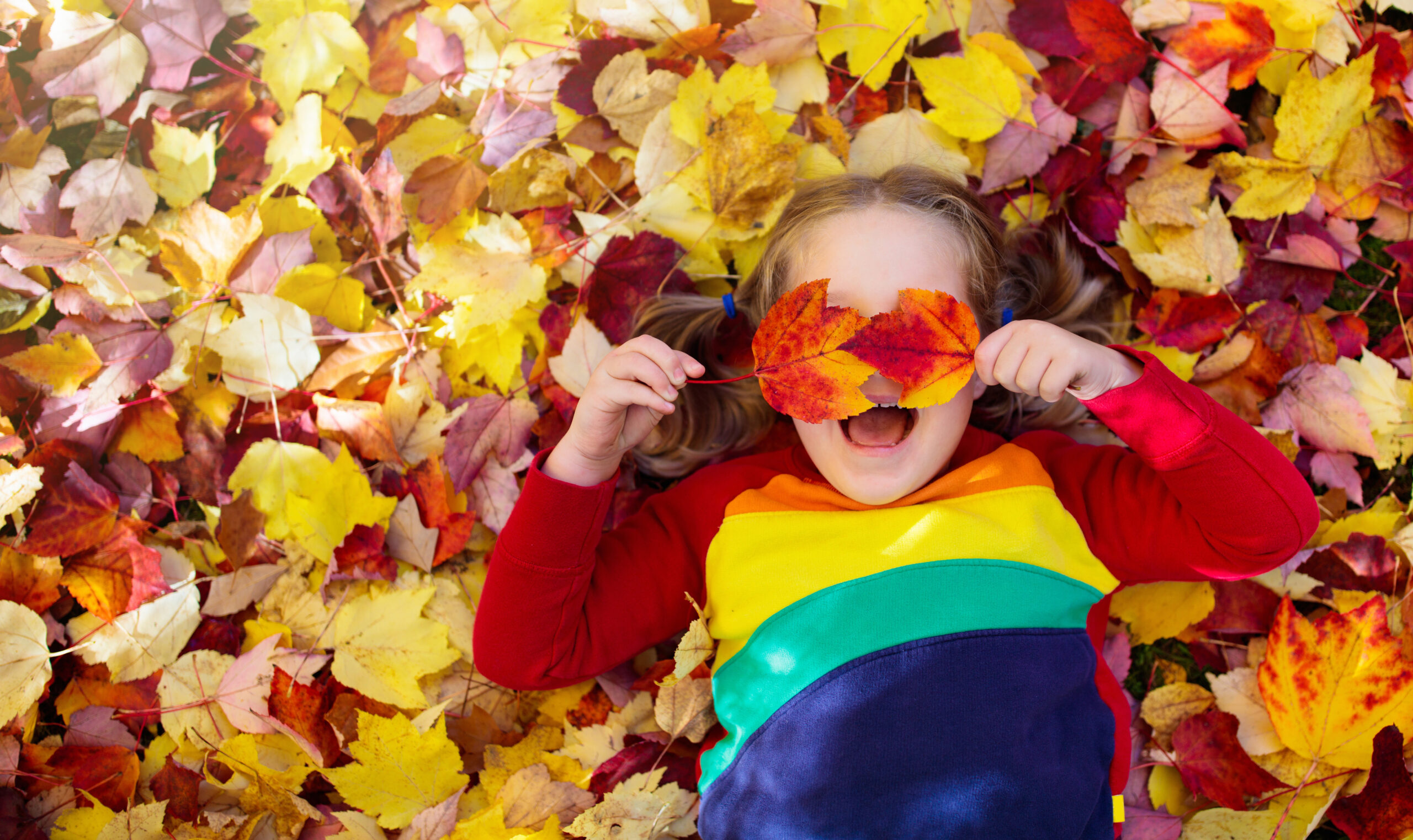 Child in fall park. Kid with autumn leaves.