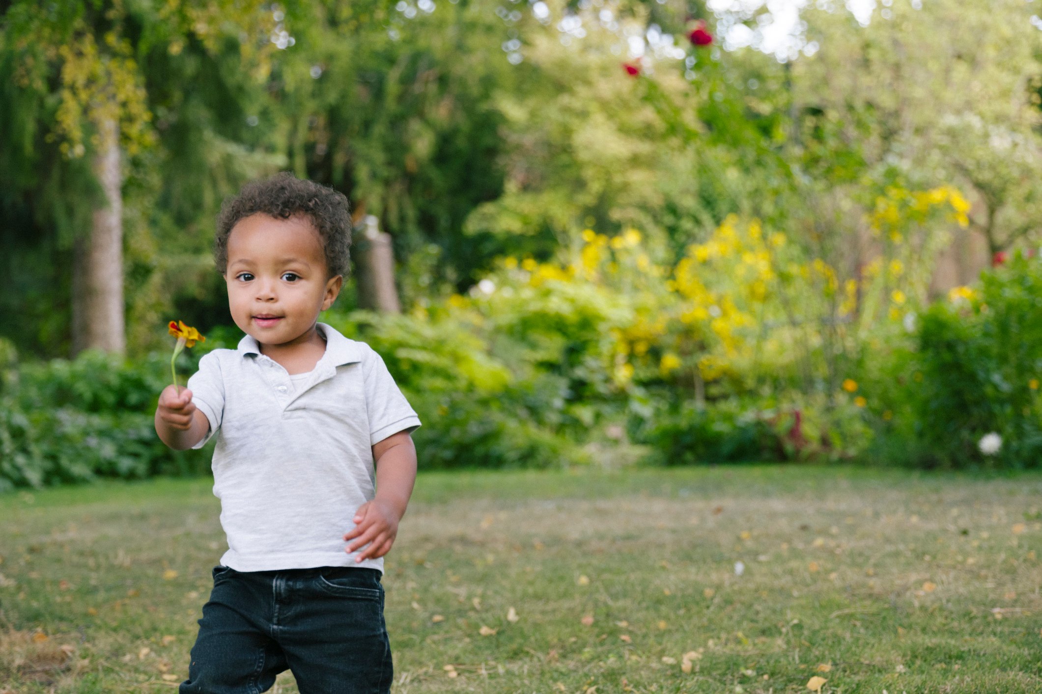 cute baby boy presents a flower, looking at camera