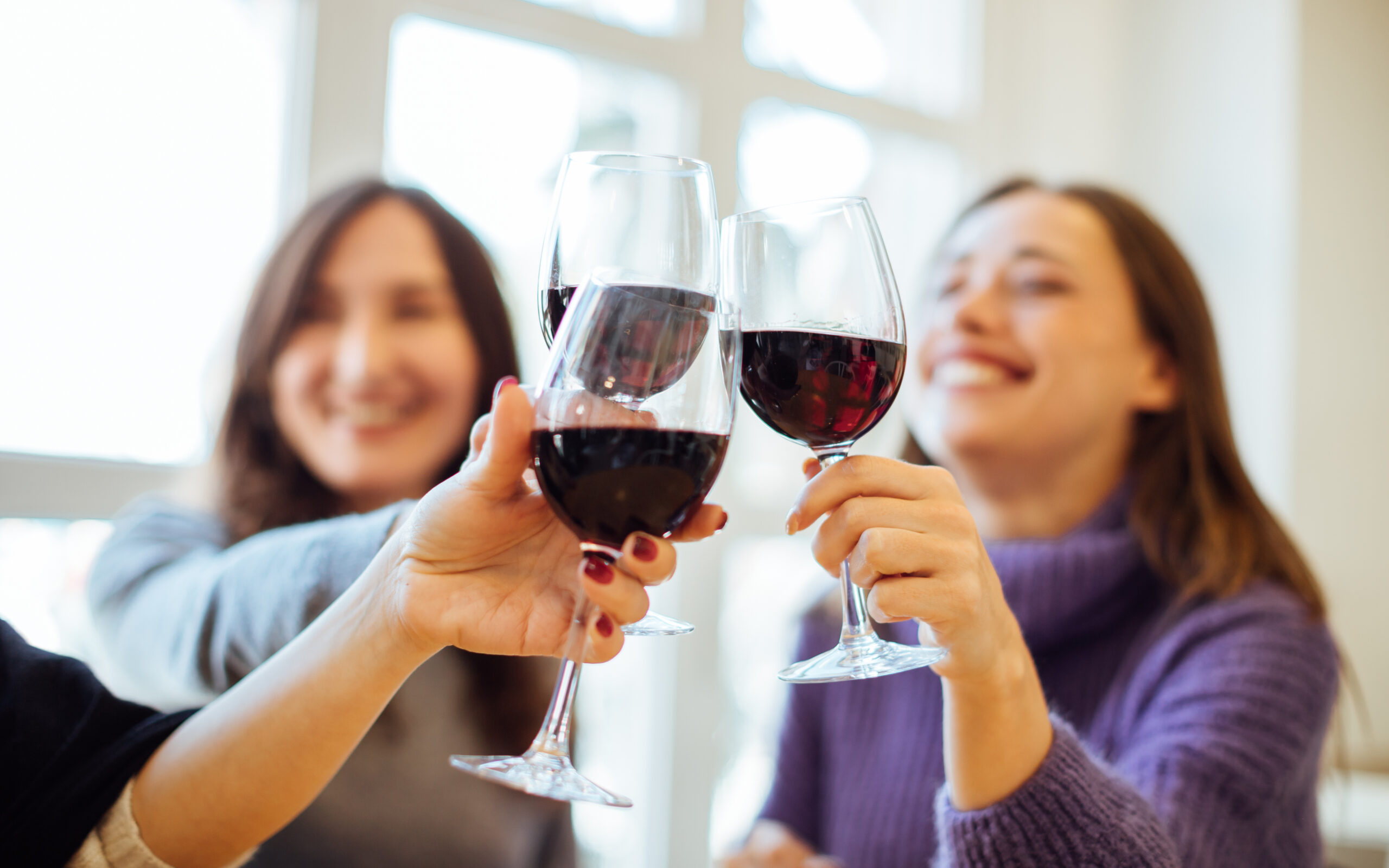 Group of girls (women) drinking red wine, celebrating and having fun together, focus on clinking glasses