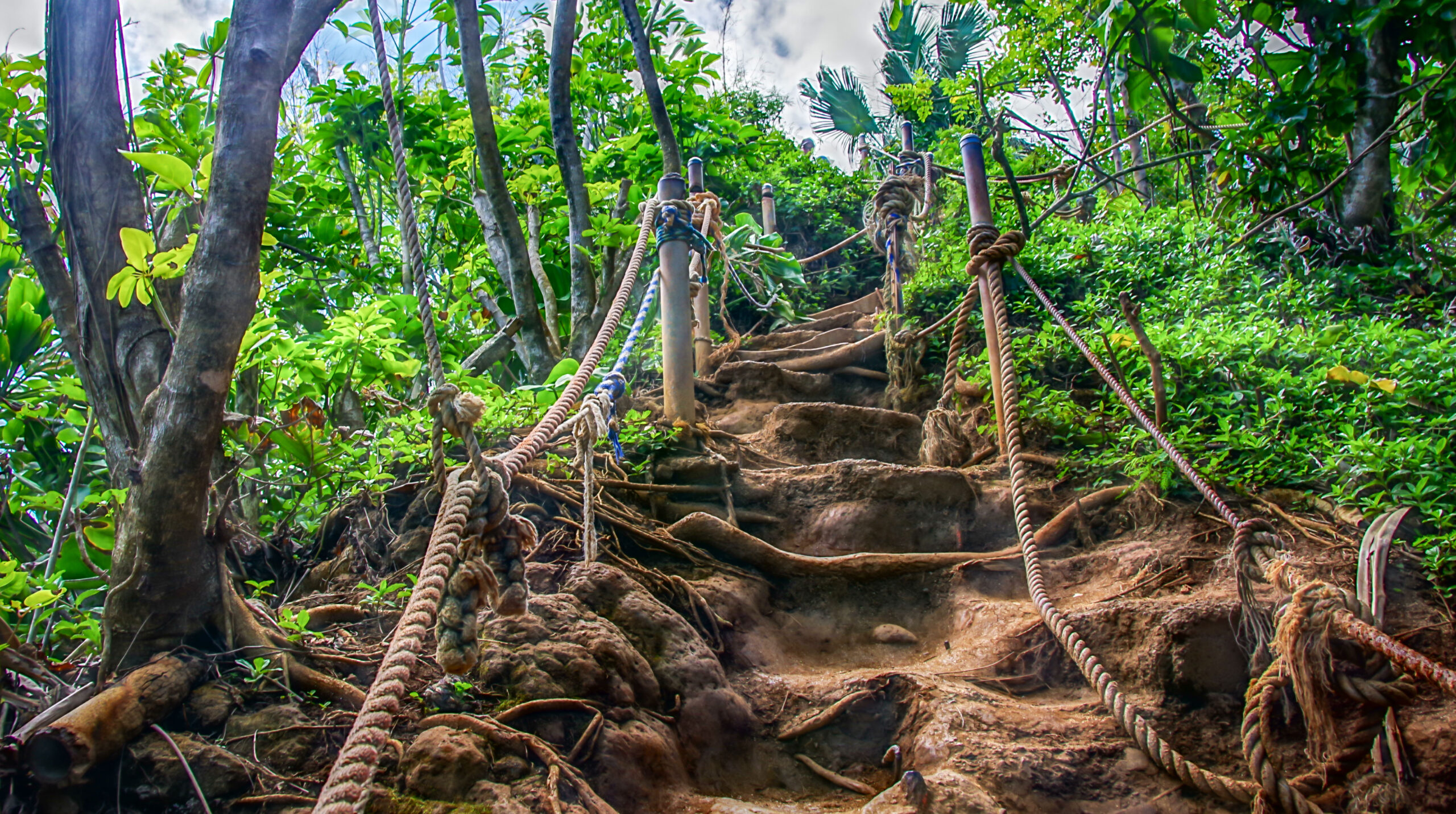 Jungle Stairs - Kauai