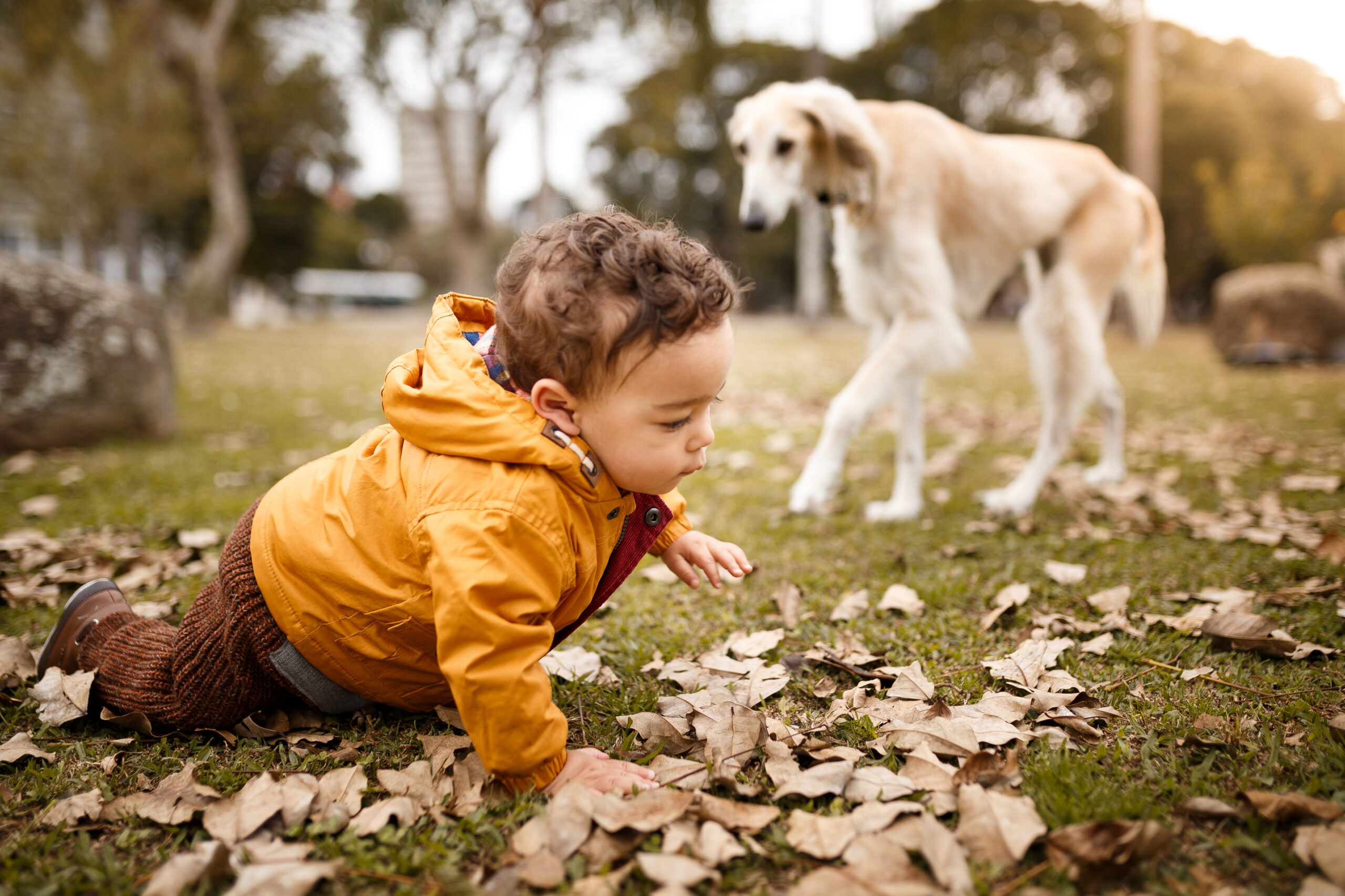 baby-with-dog