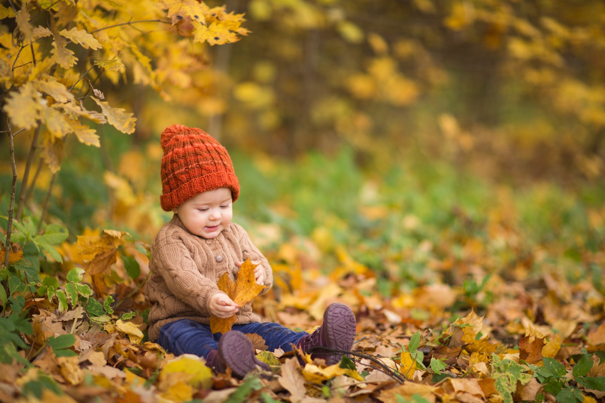 iStock-1271258141