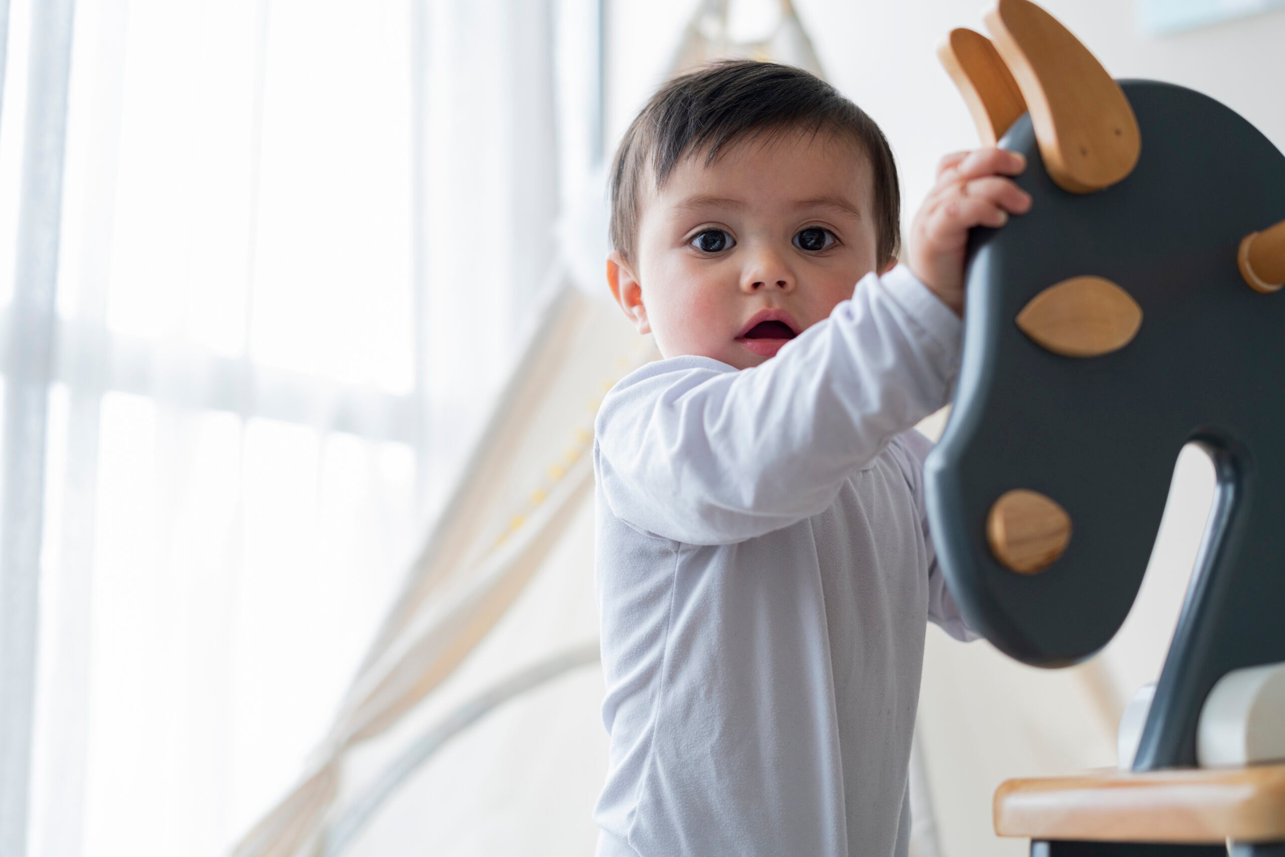 Portrait of an 11 month old baby looking at the camera while holding on to his horse and trying to take his first steps