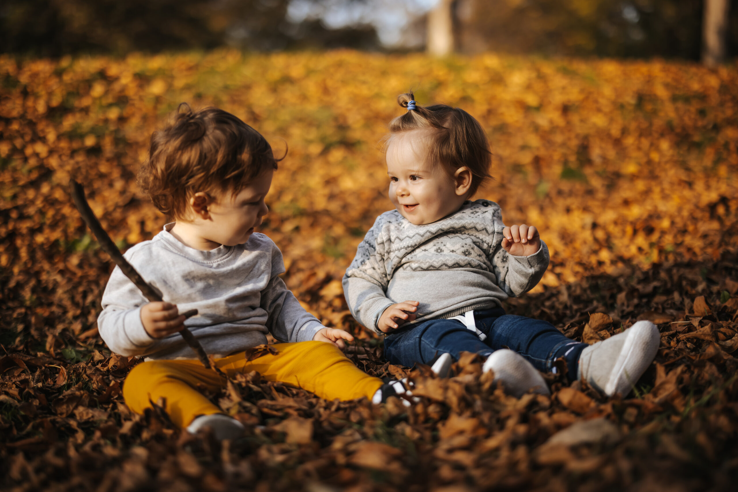 Cute little friends playing on fallen autumn leaves in park