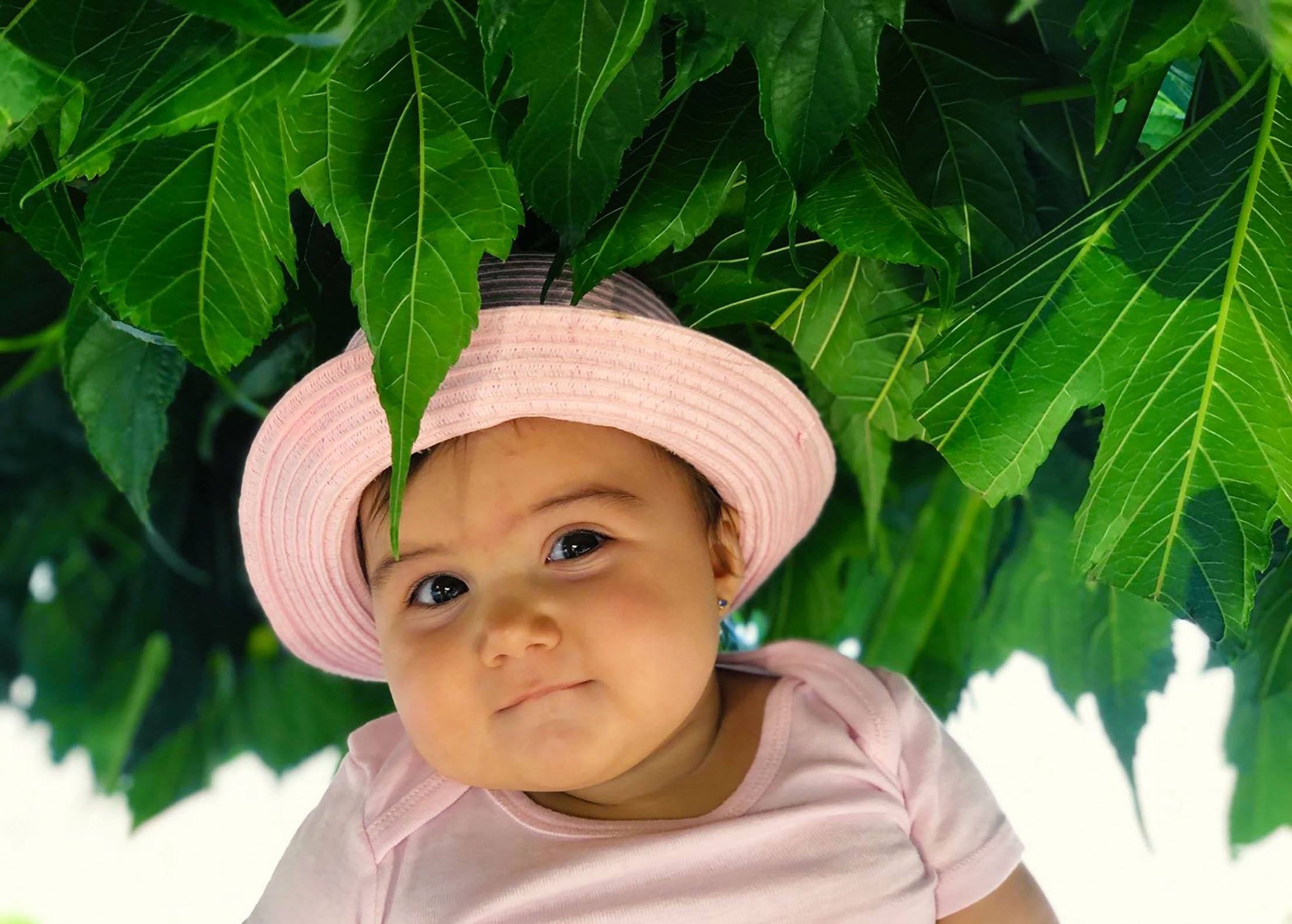 A cute baby with a hat (portrait) looking directly at the camera and she is under a tree, with leaves around her; the color of her t-shirt is pink just like a hat
