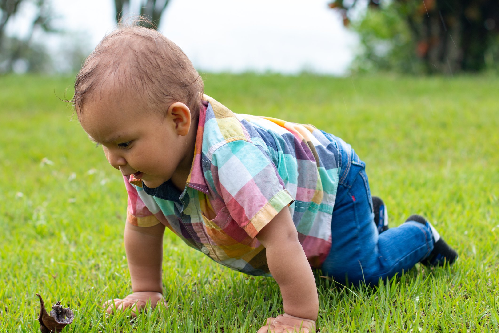Baby crawling alone on the grass of a park surrounded by nature
