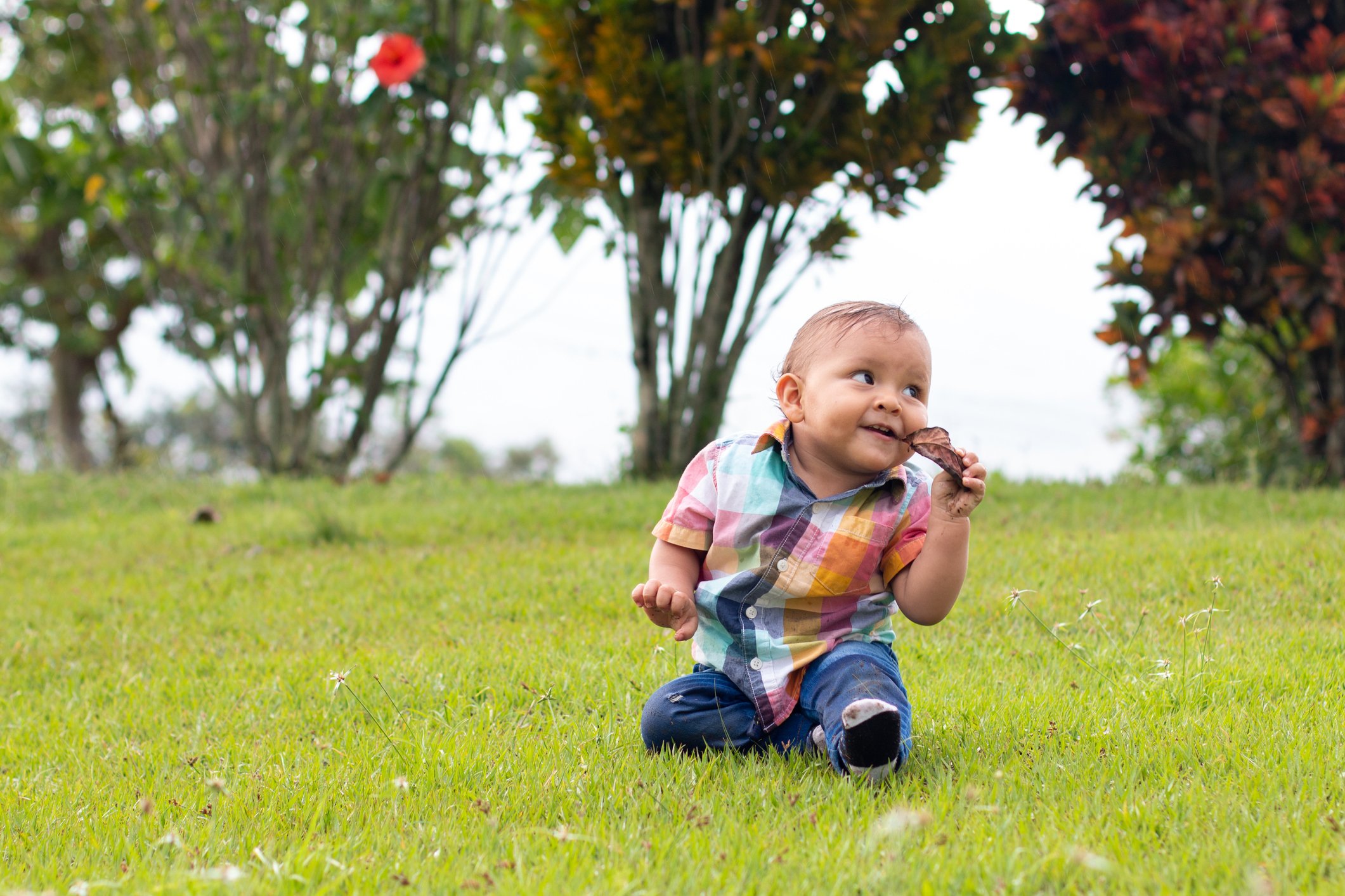cute baby playing with leaves on the grass