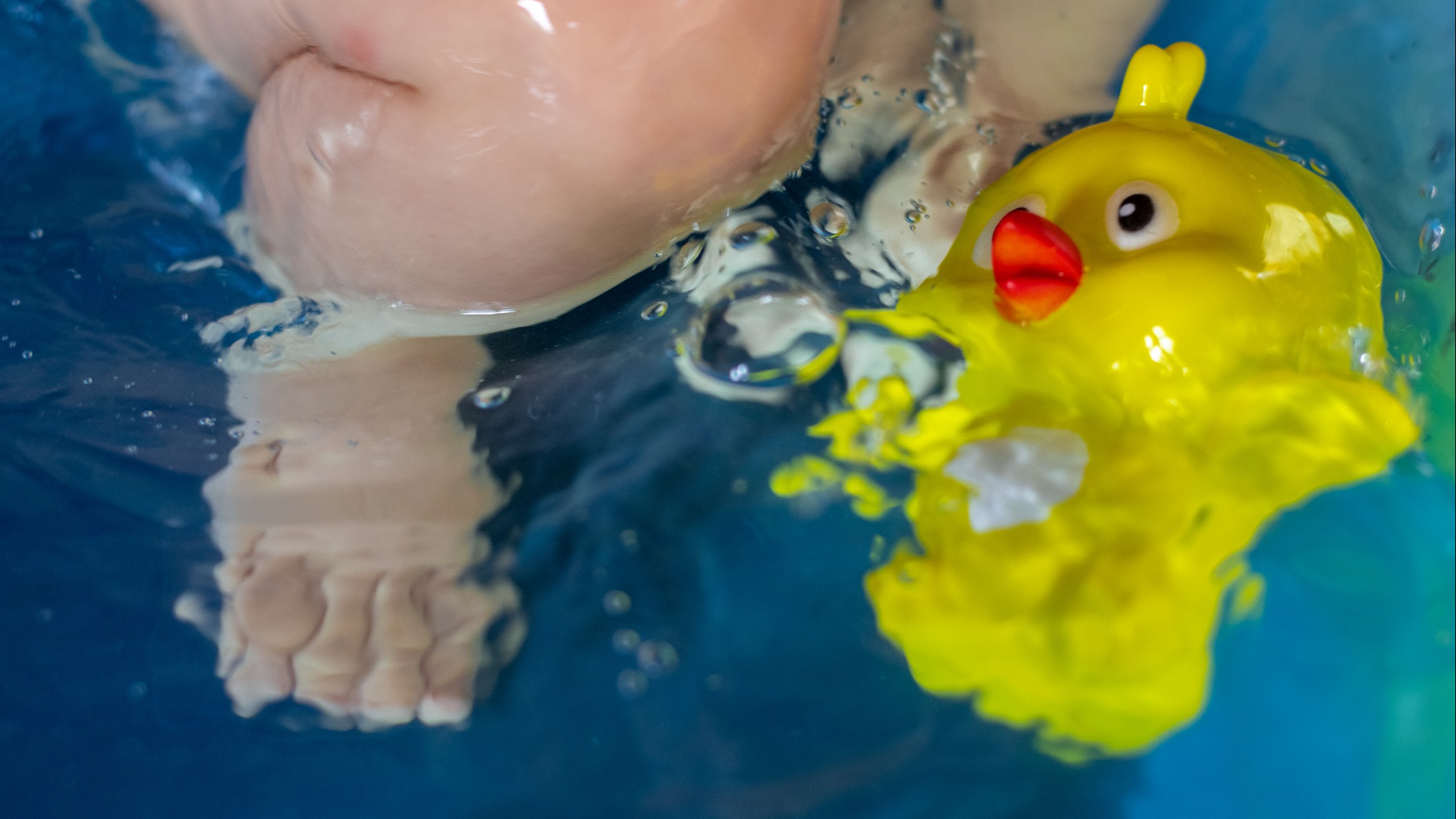 Bath toys