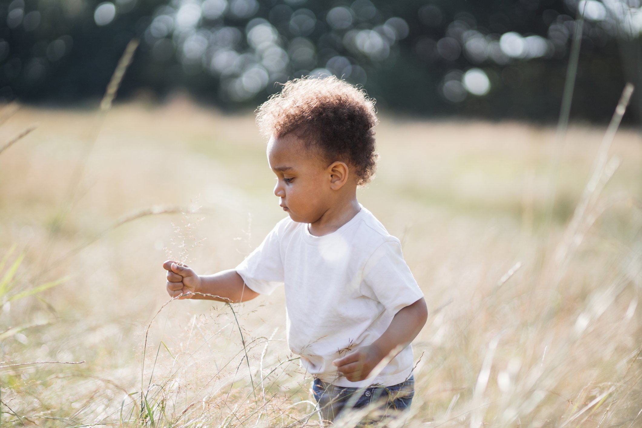 Cute african boy discovering nature on summer field