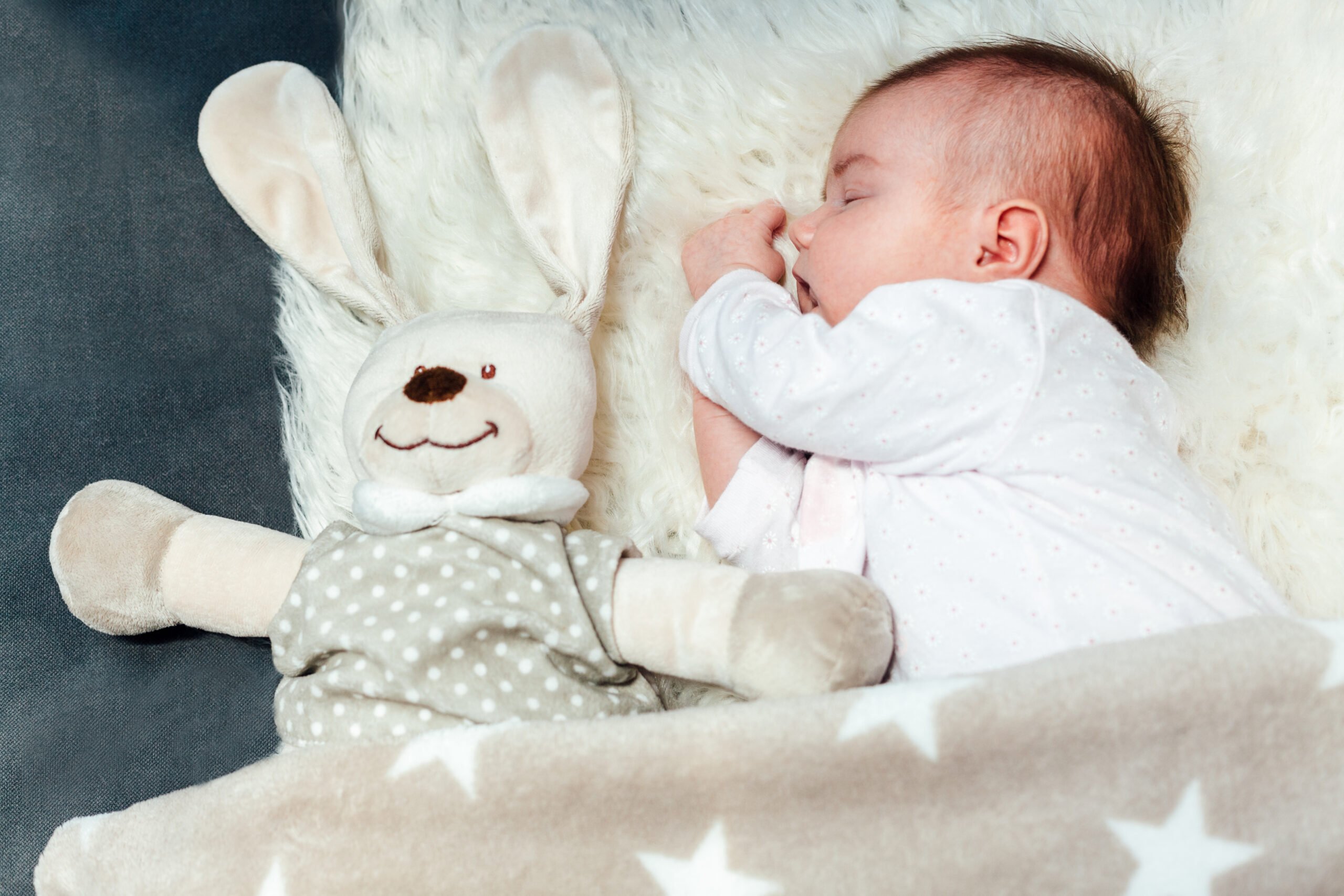 Newborn Baby Sleeping With Plush Toy