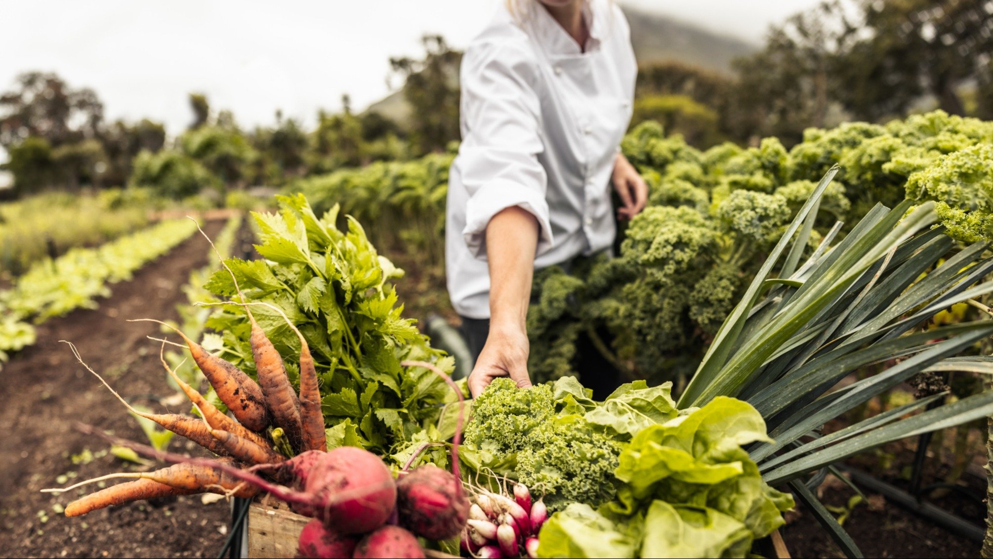 A woman working on a farm