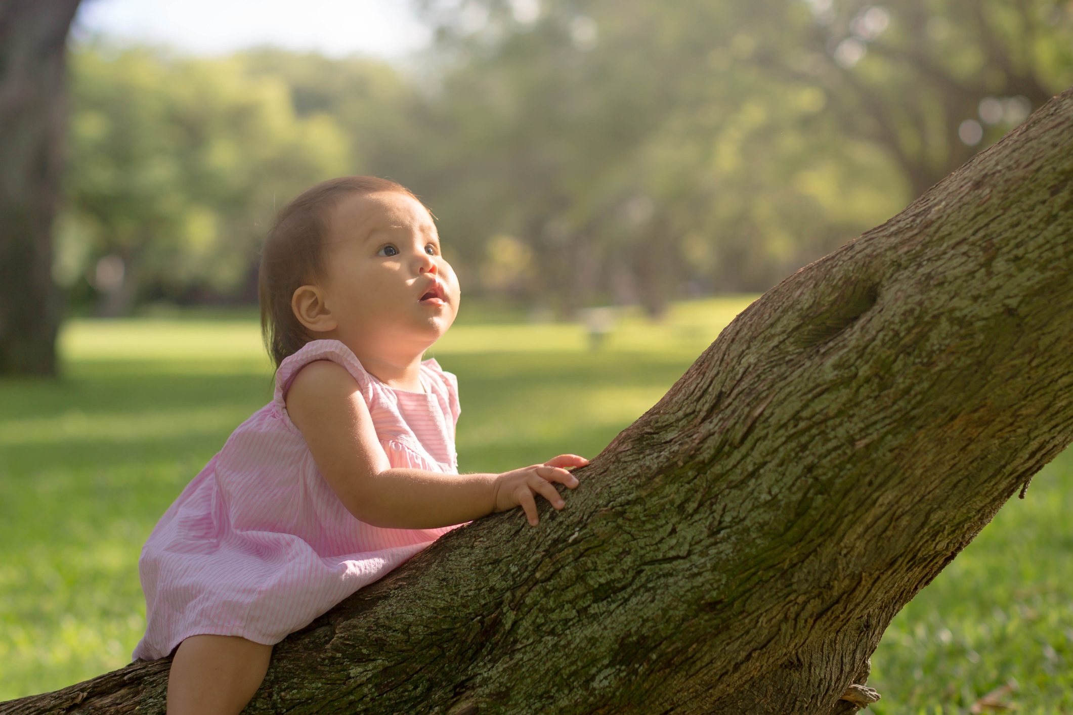 A young child sitting in nature under a tree. Kids exploring and learning about nature.