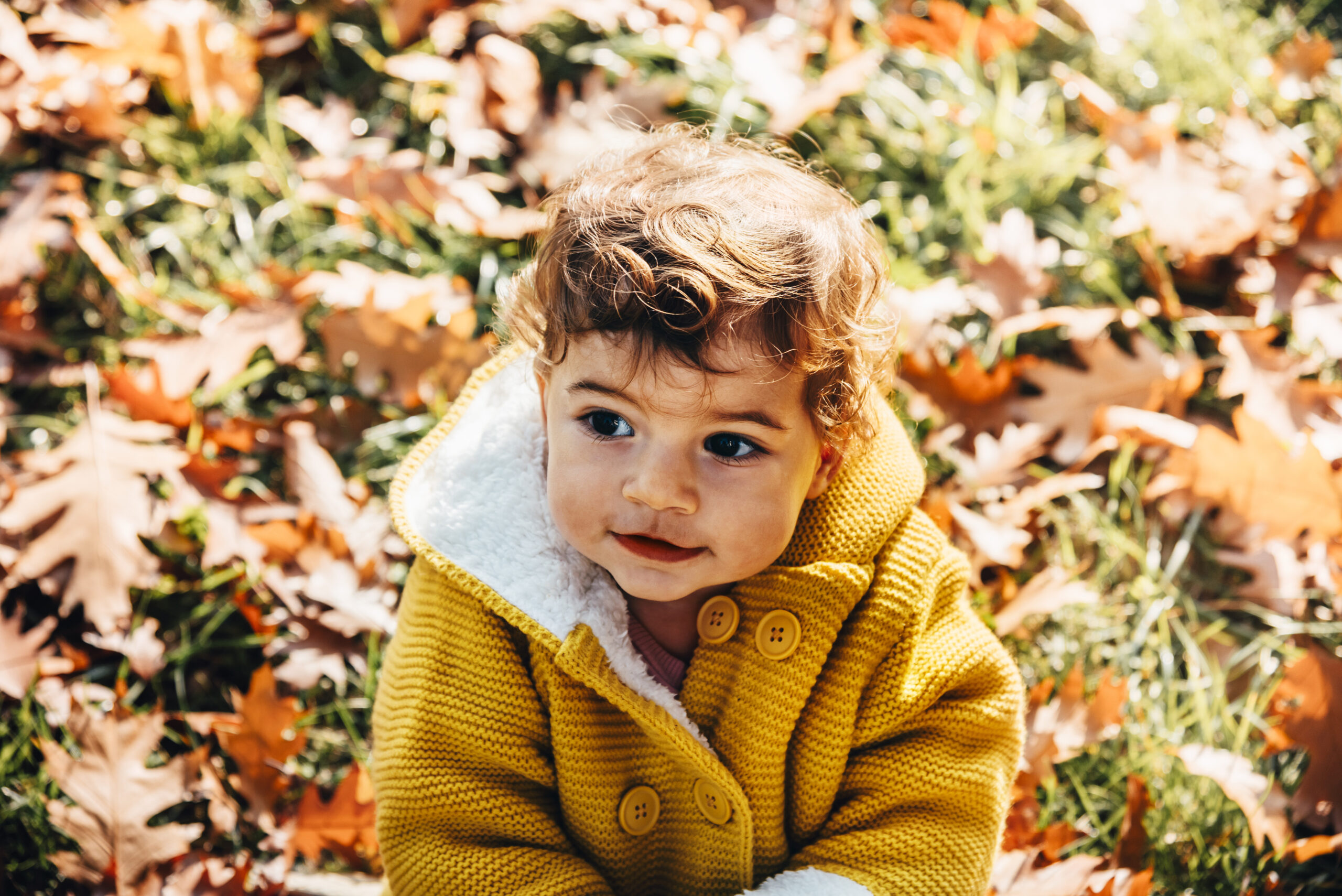 Happy little girl in yellow jacket playing with autumn leaves in park.