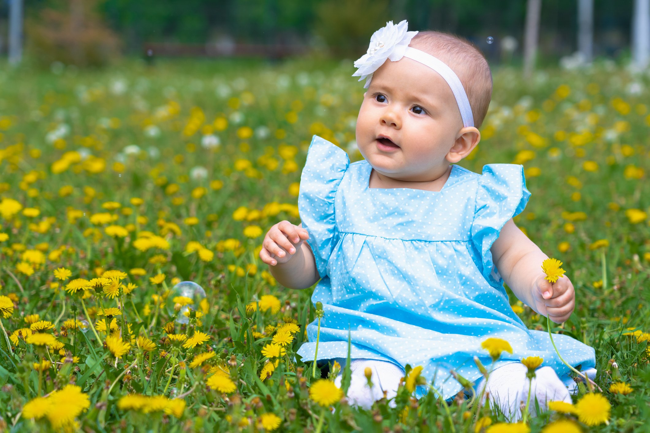 Happy newborn baby in a meadow with yellow dandelions. A toddler playing with soap bubbles in the park