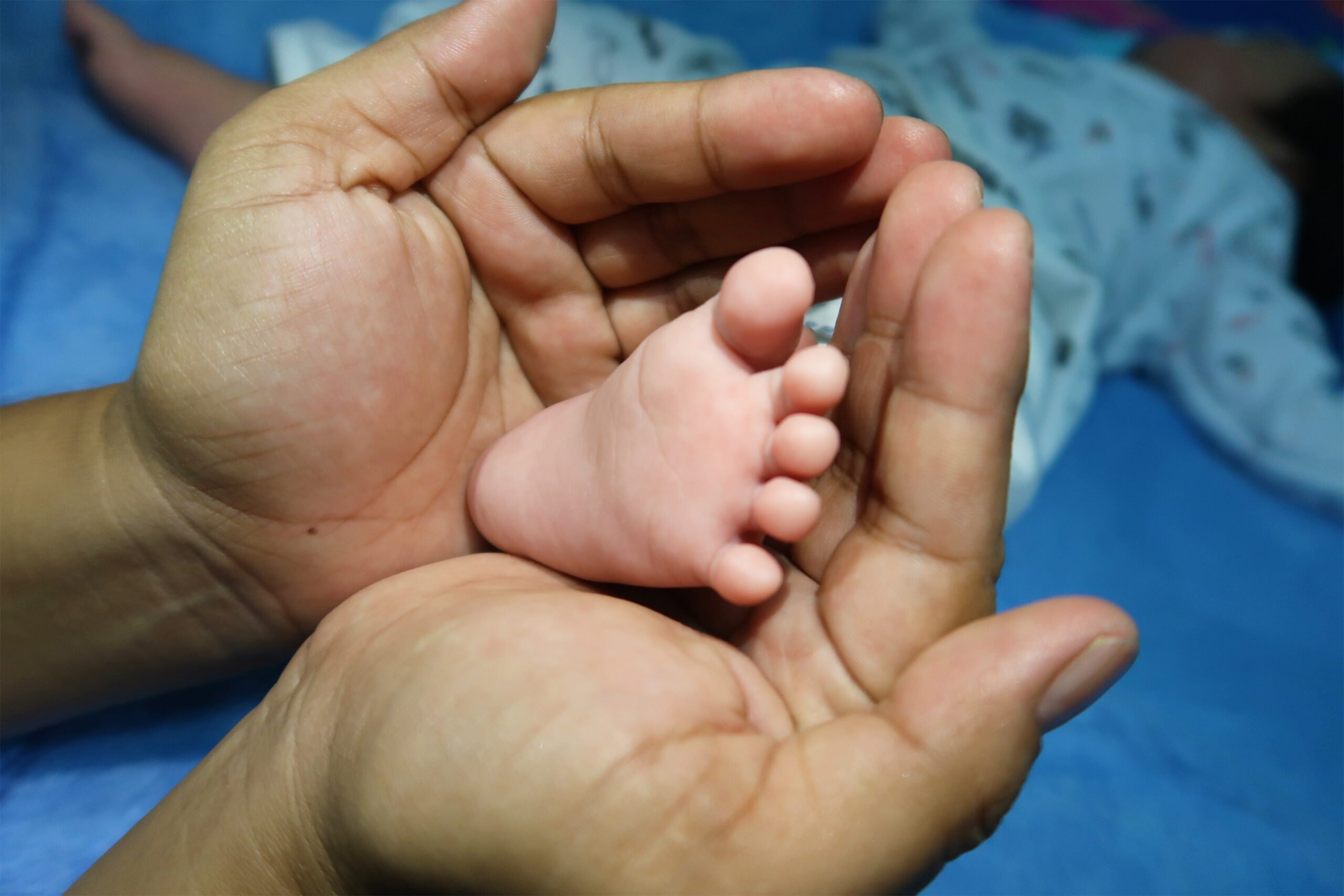 Parent holding in the hands feet of newborn baby. Mother's hand covering her baby's feet.