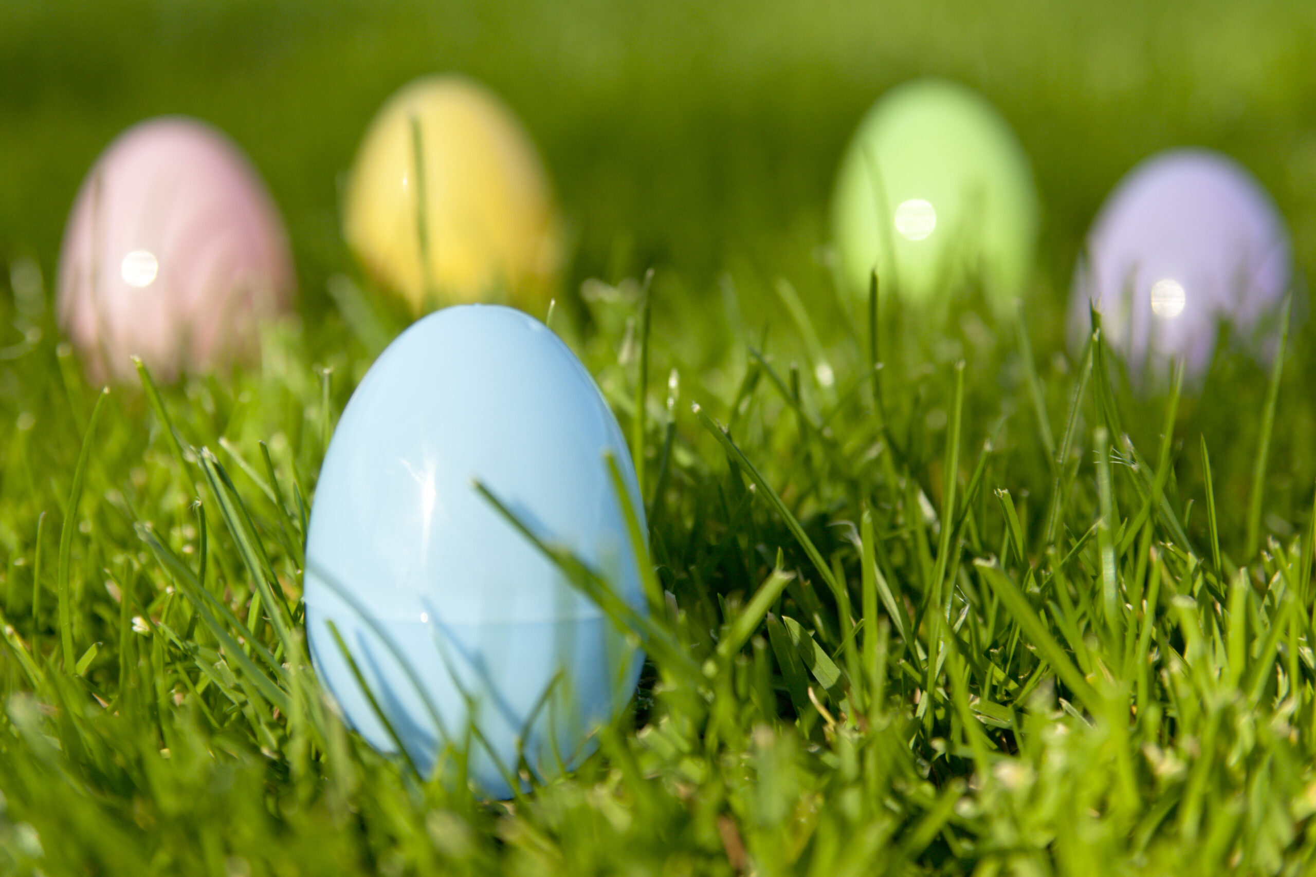 Easter Eggs on green Grass