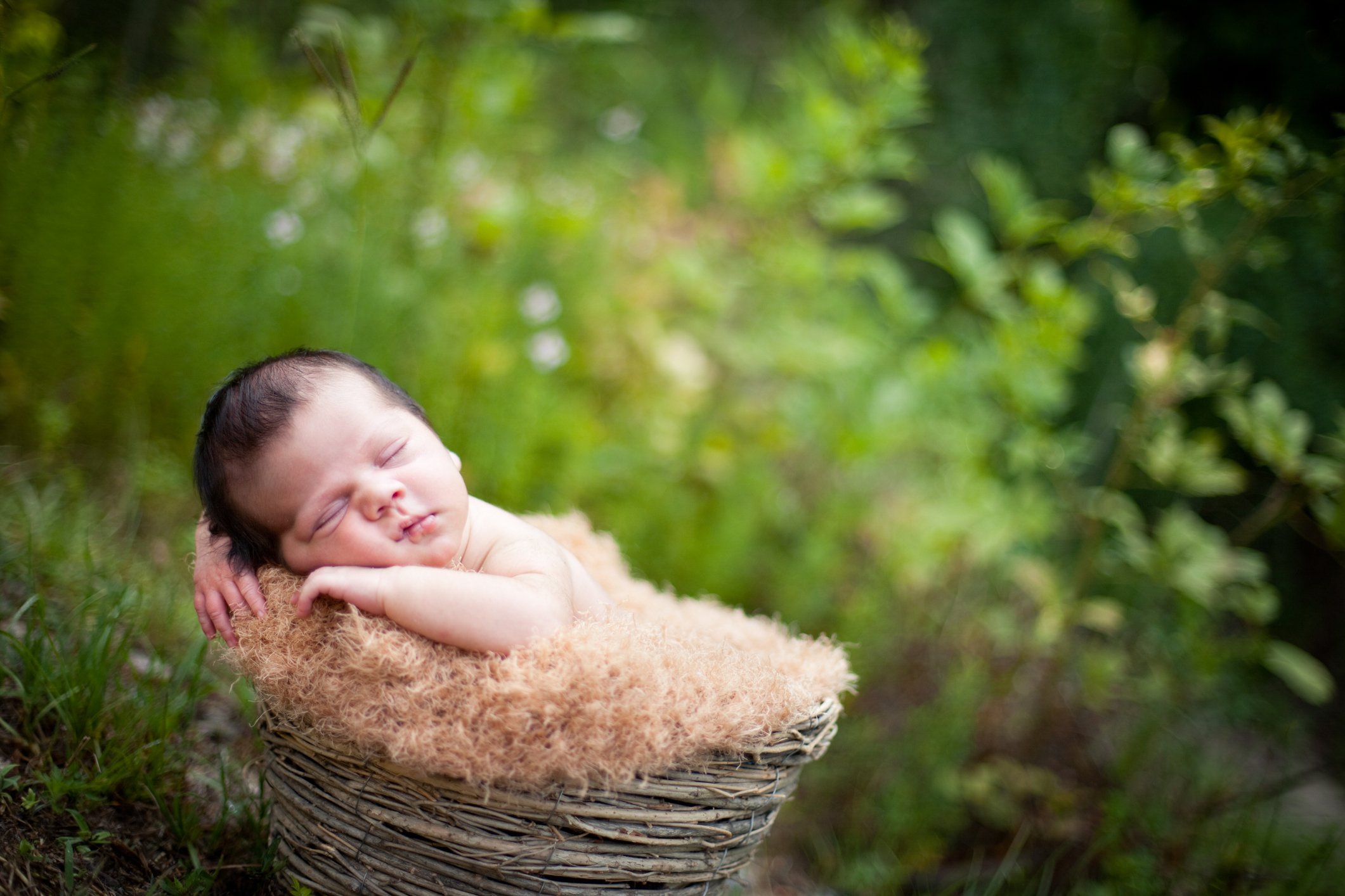 Color Image of Peaceful Newborn Sleeping in Basket Outdoors