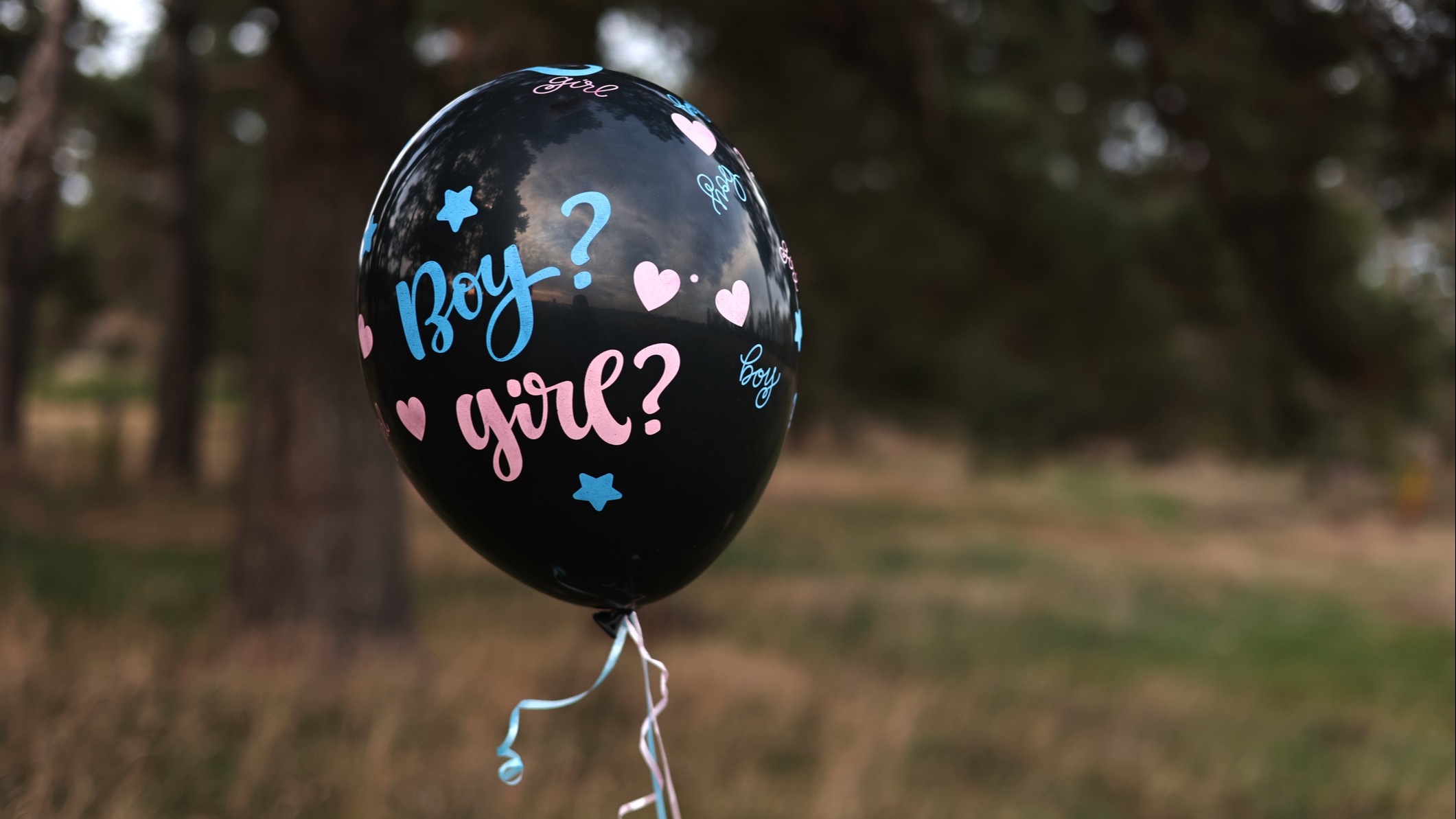 Gender Reveal
