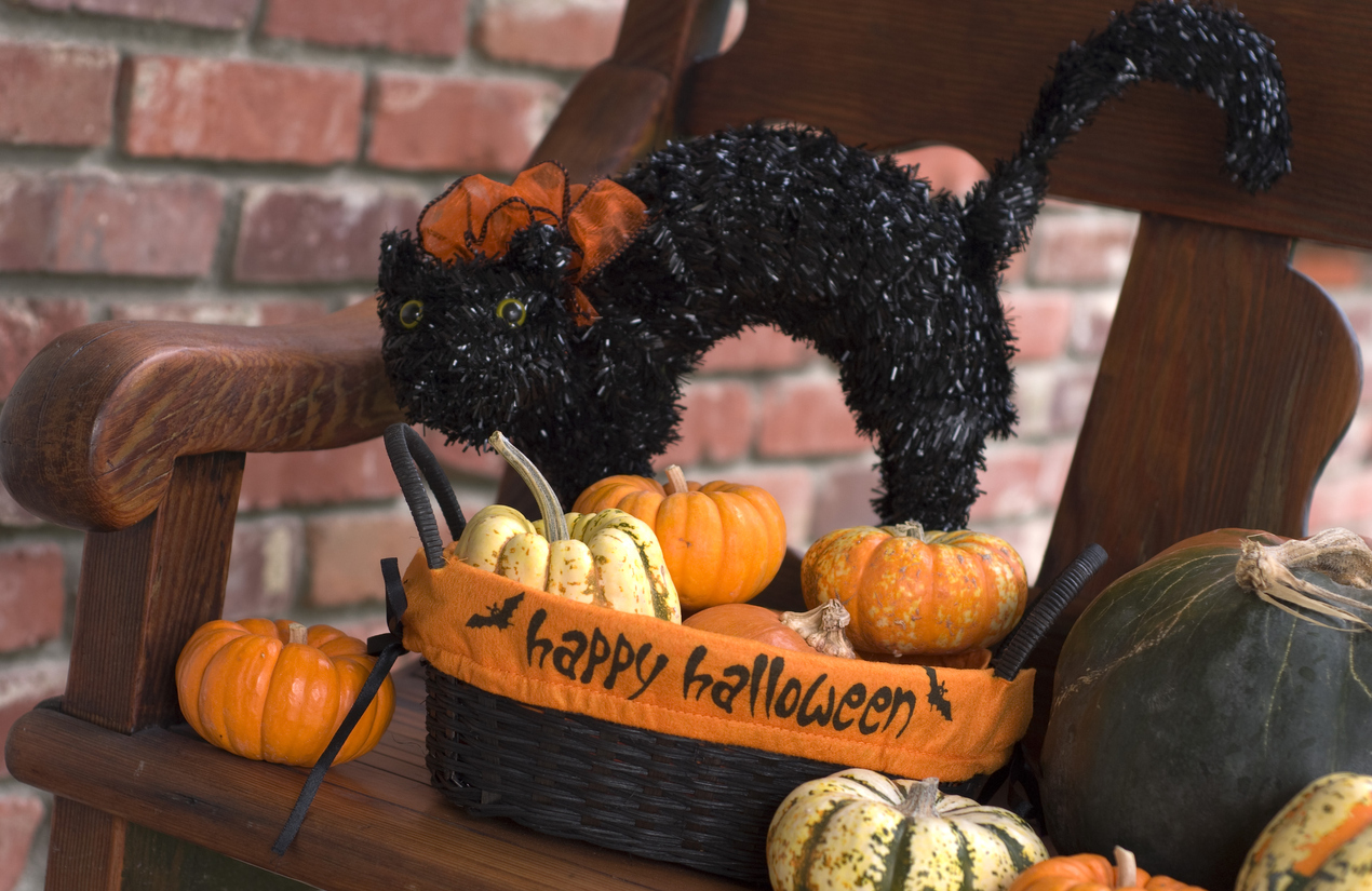Autumn Pumpkin & Black Cat, House Front Porch Halloween Decorations