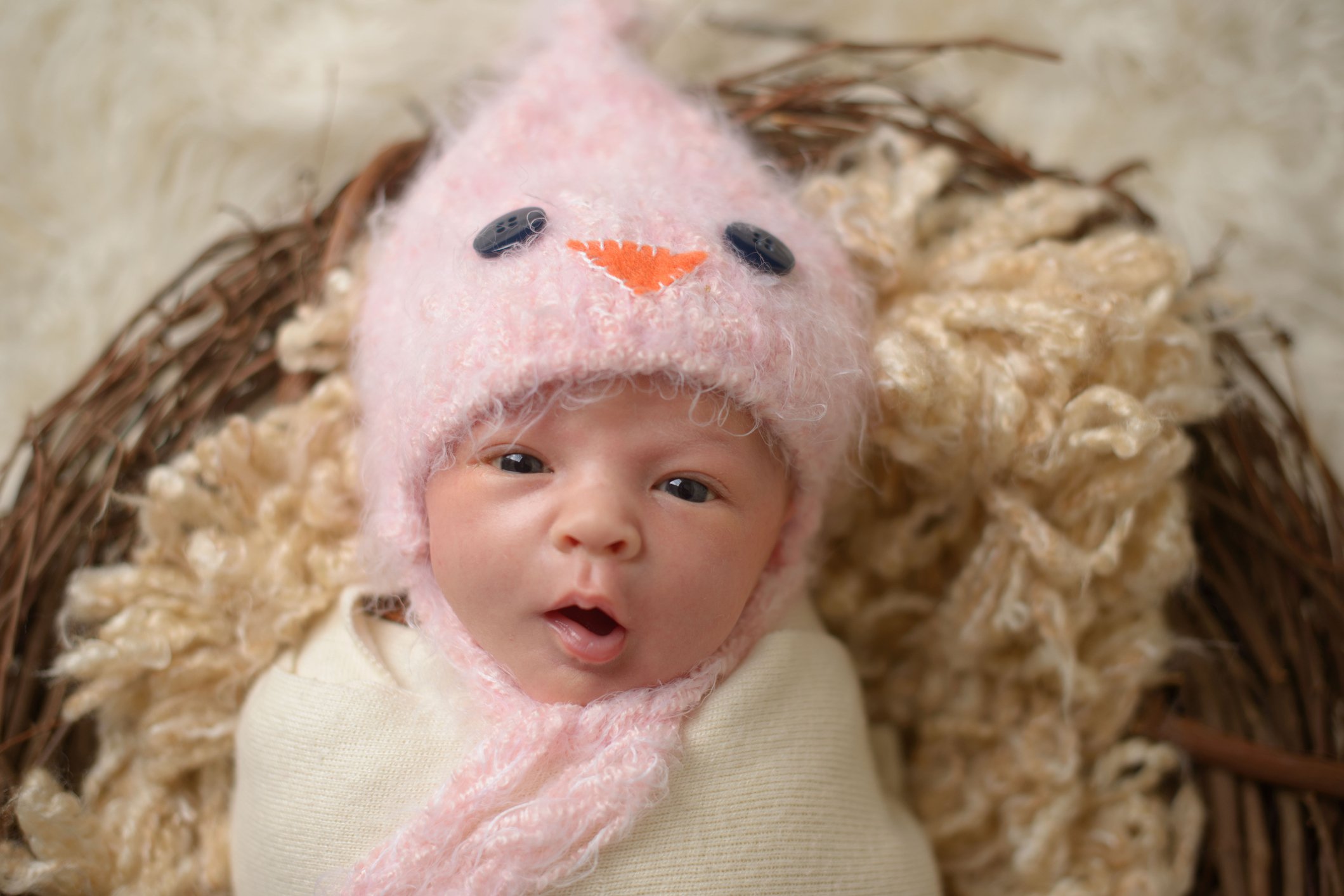 Newborn in Nest