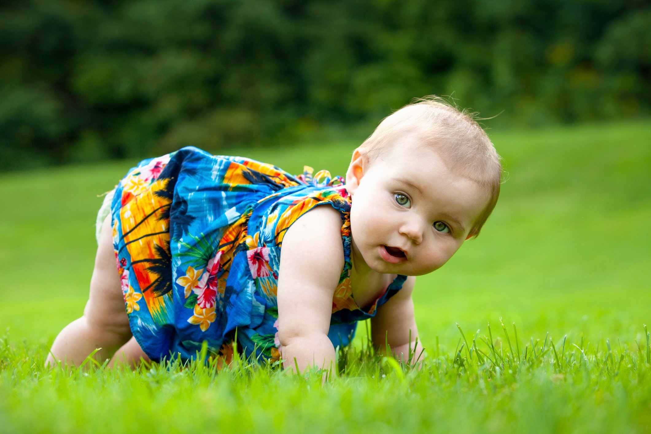 Toddler Japanese-American Learns to Crawl