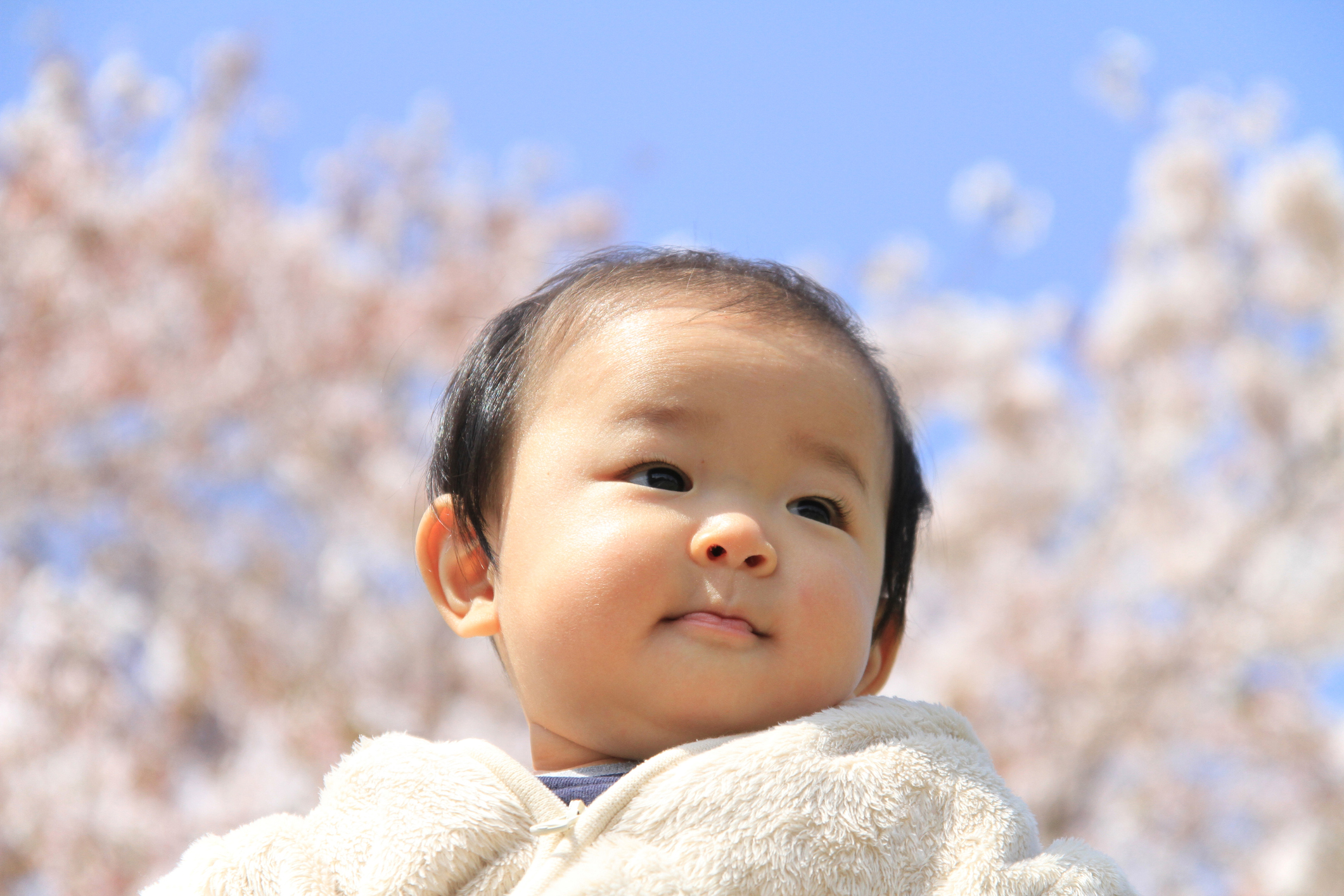Baby boy and the cherry blossom