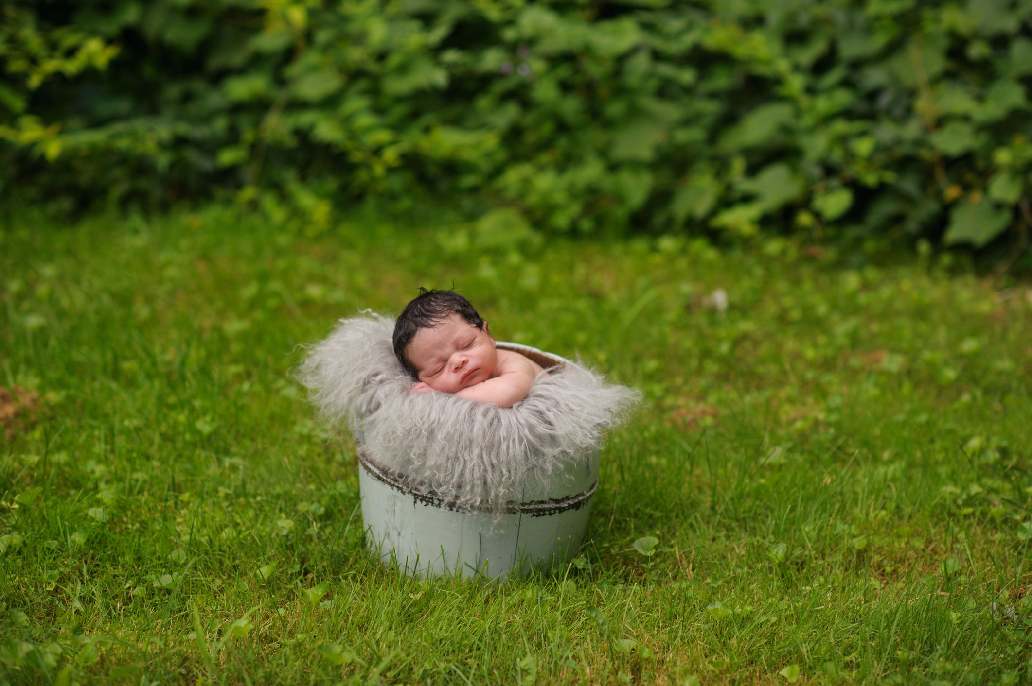 African American Newborn Sleeping in Bucket Outside on Summer Day