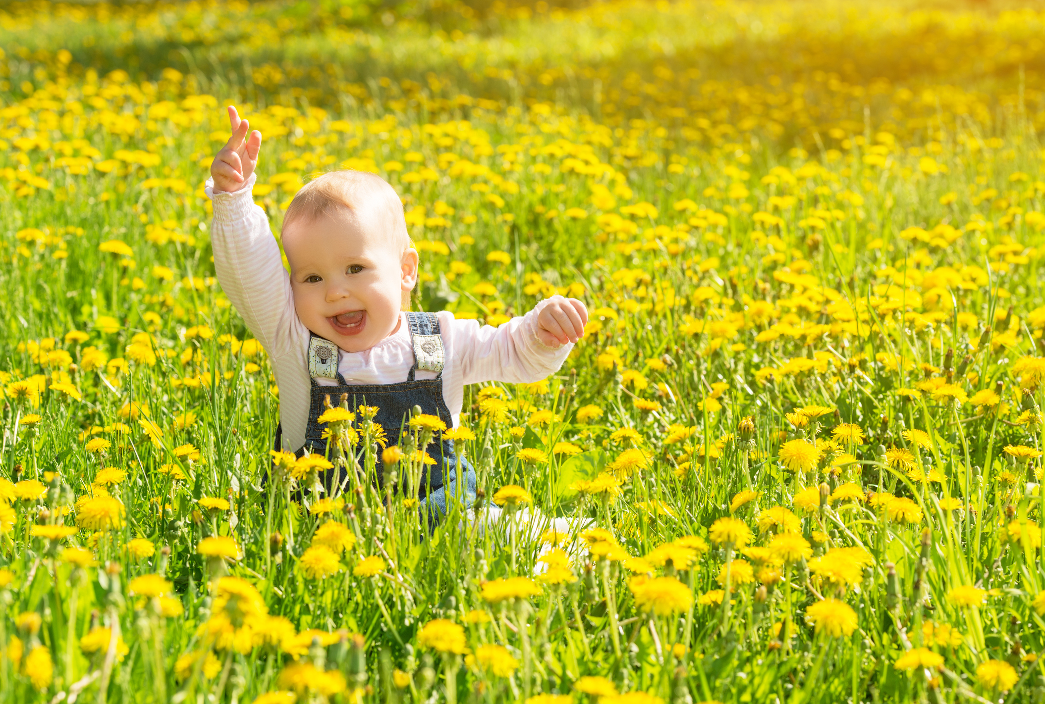 baby girl on a green meadow with yellow flowers dandelions