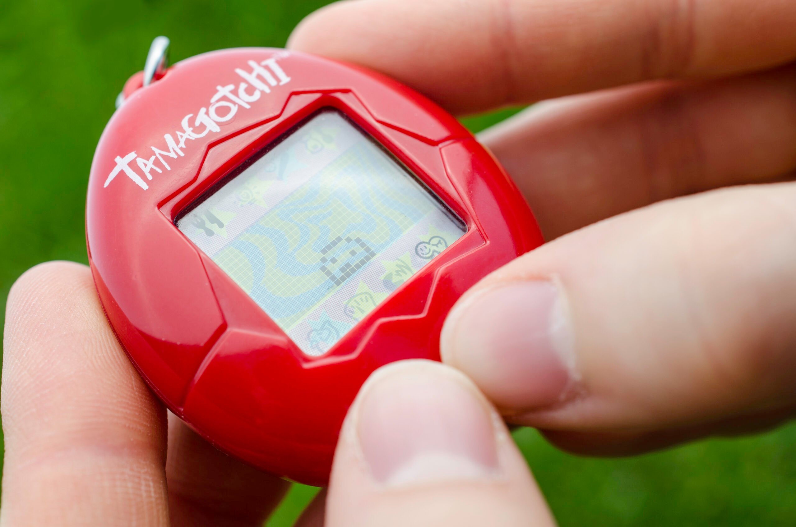 Playing with a Tamagotchi