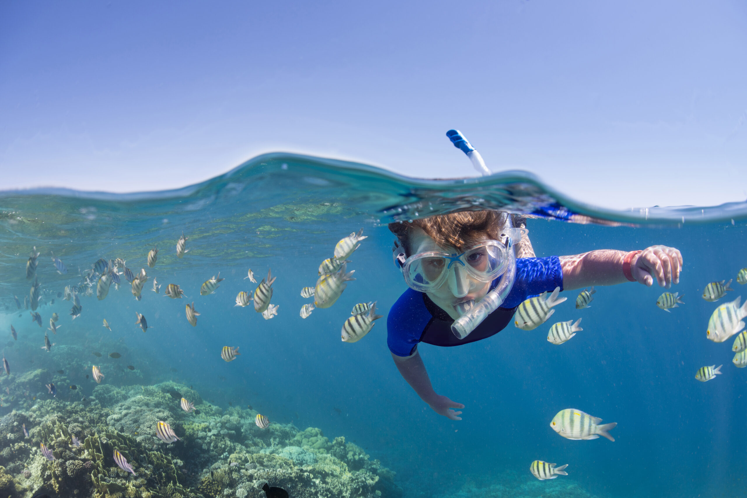 Kid on the reef
