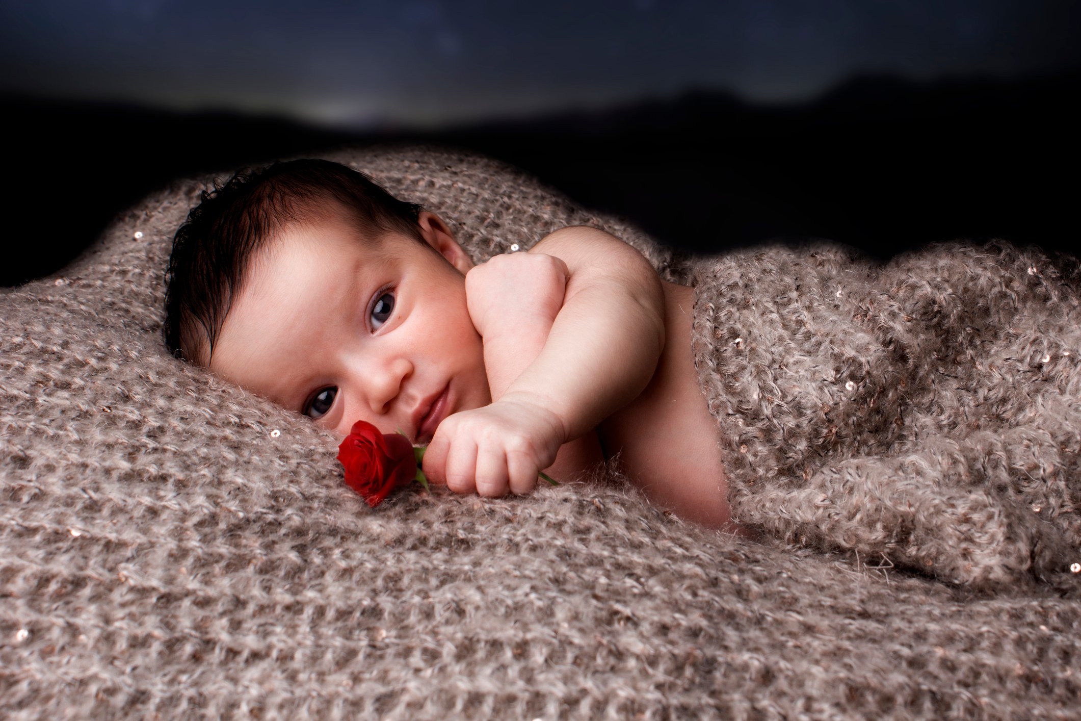 Newborn with a rose
