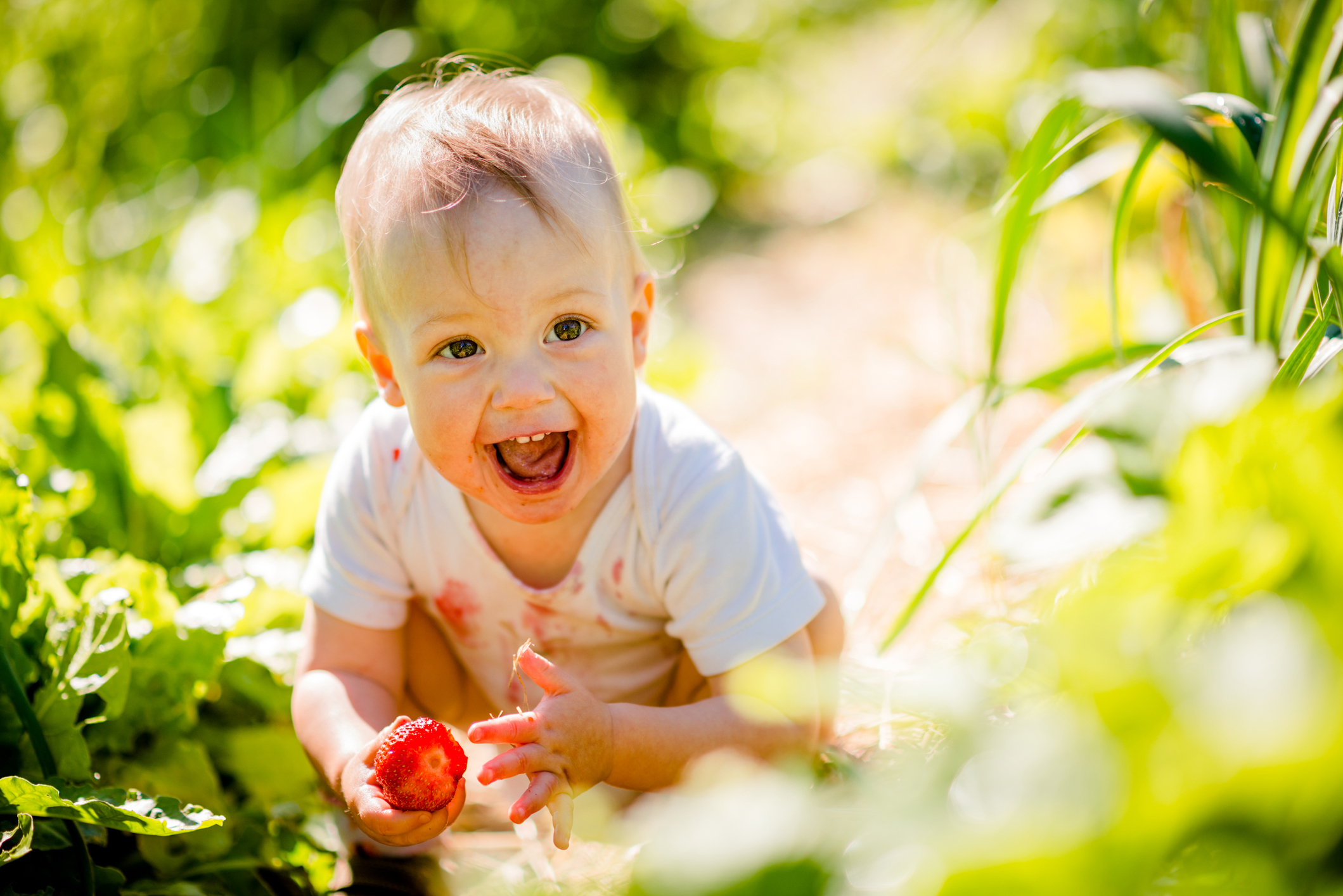 Little child with strawberry