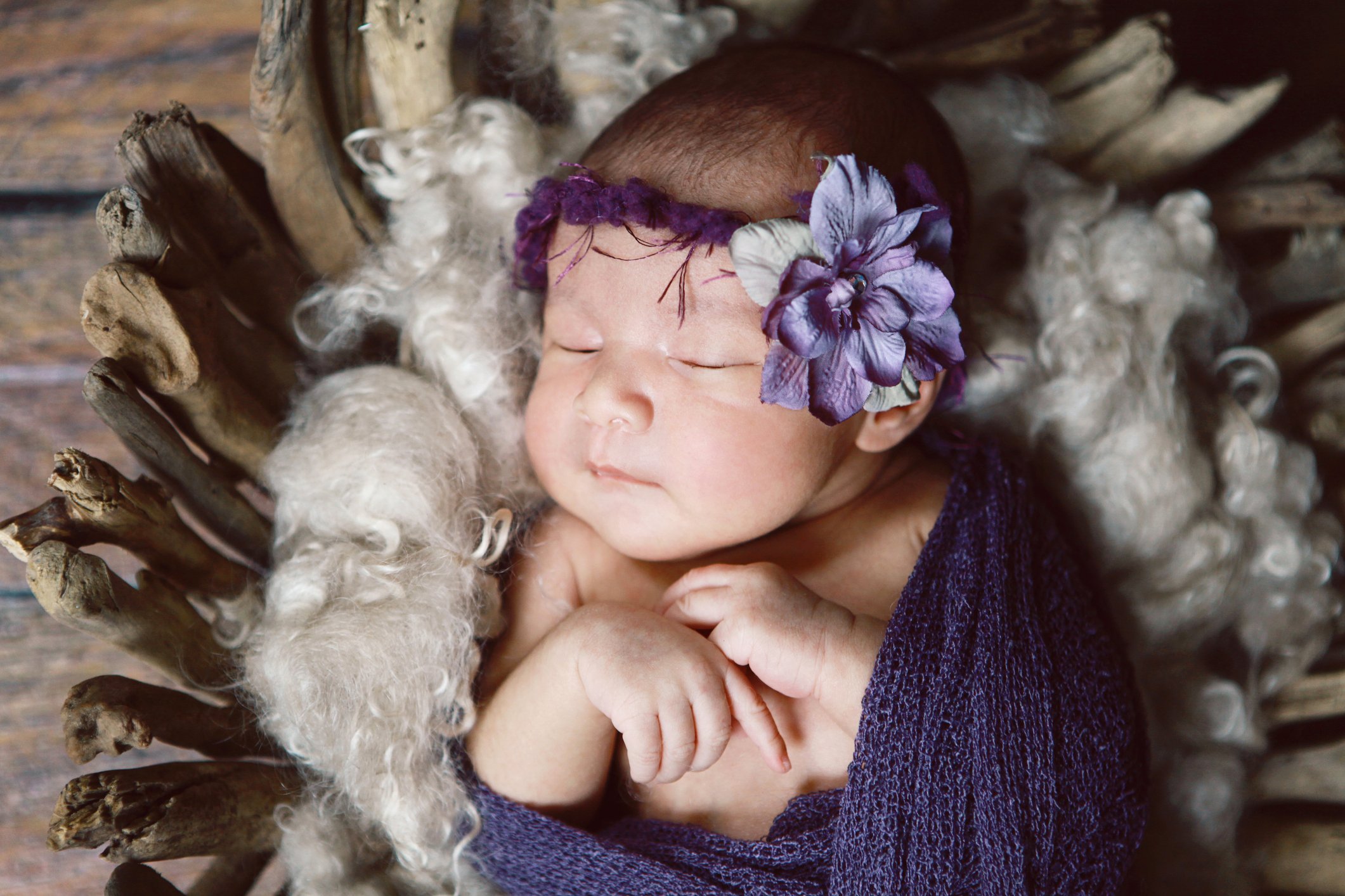 Newborn Baby Girl in Driftwood Bowl