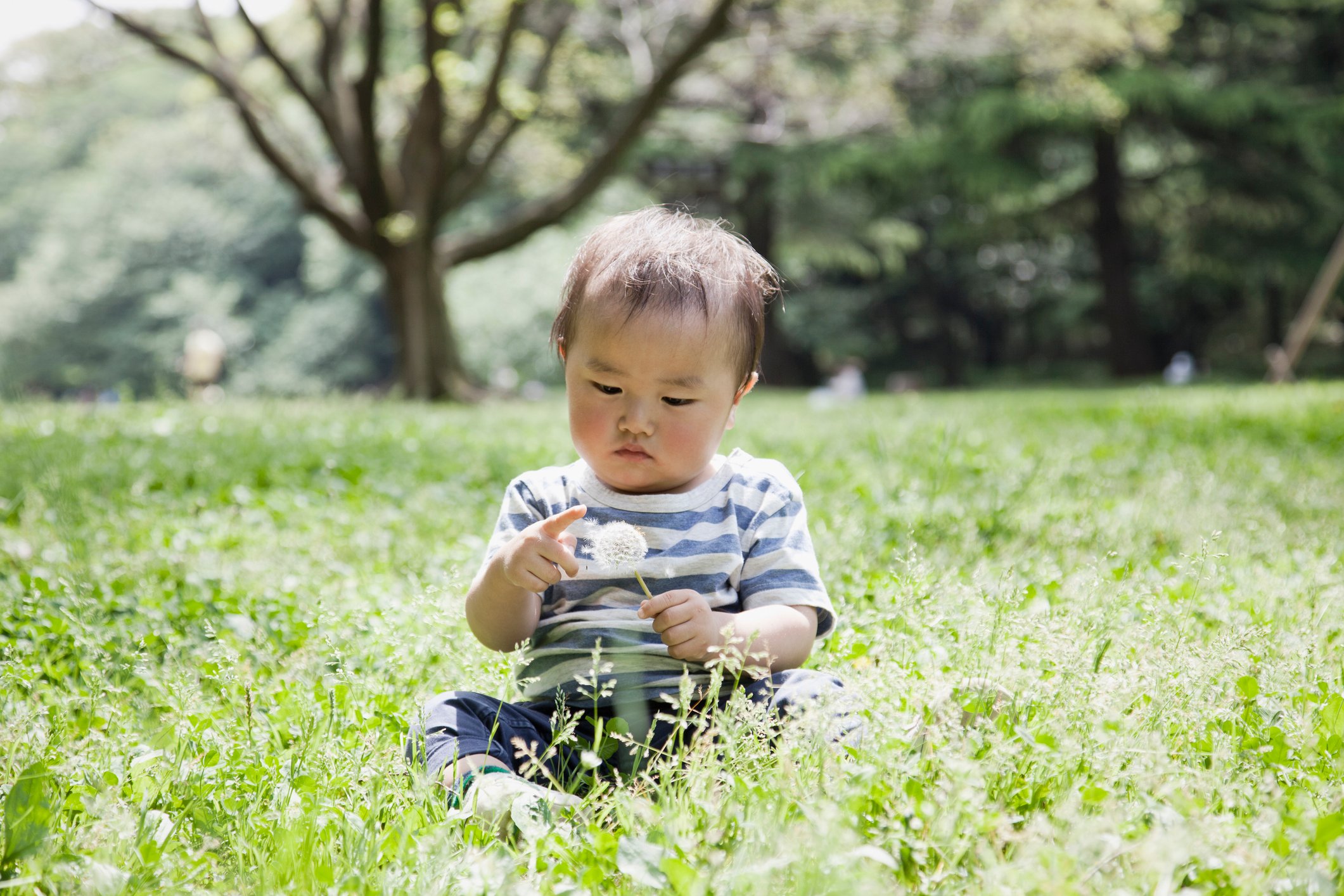 Boy playing in the park