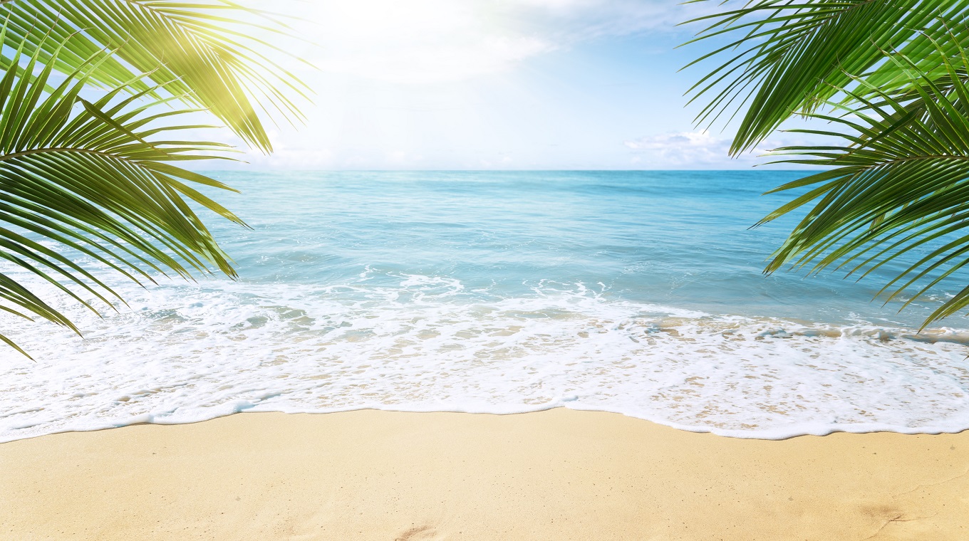 Tropical beach background