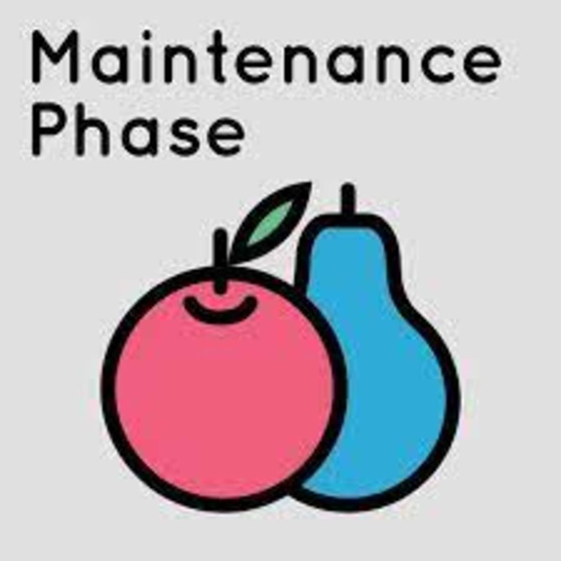 maintenance_phase.jpg