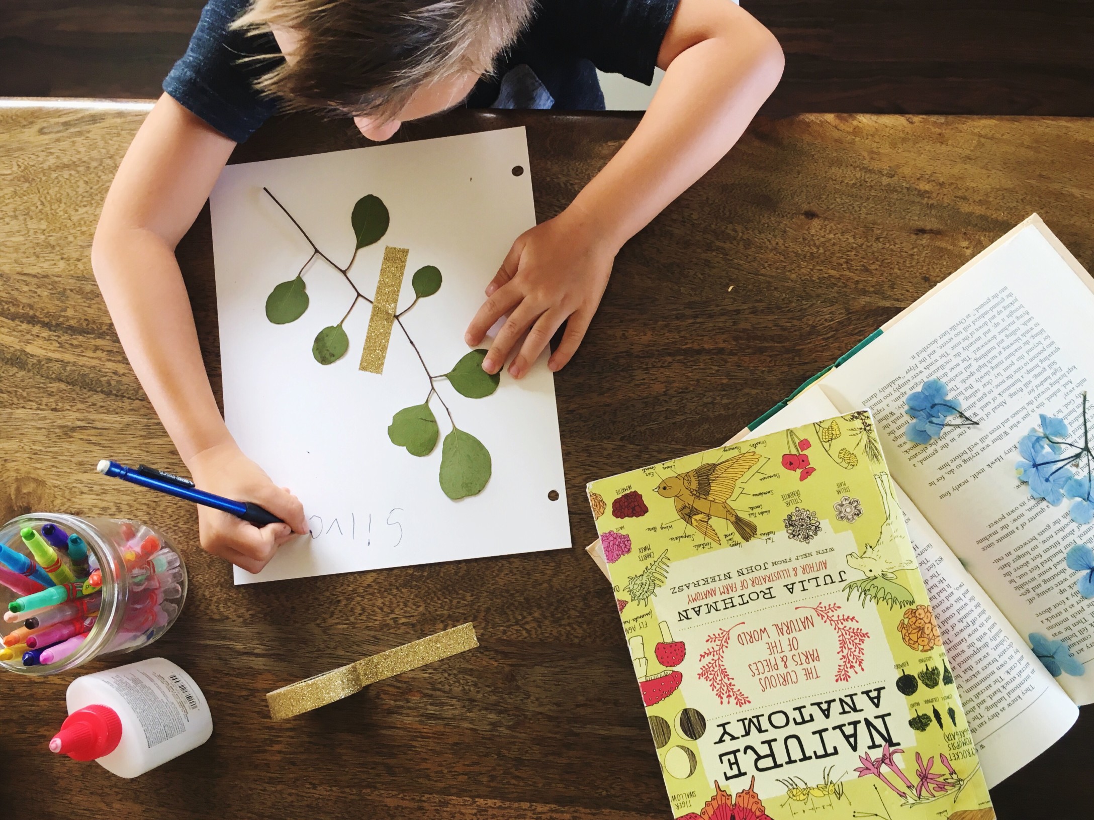 nature book photo