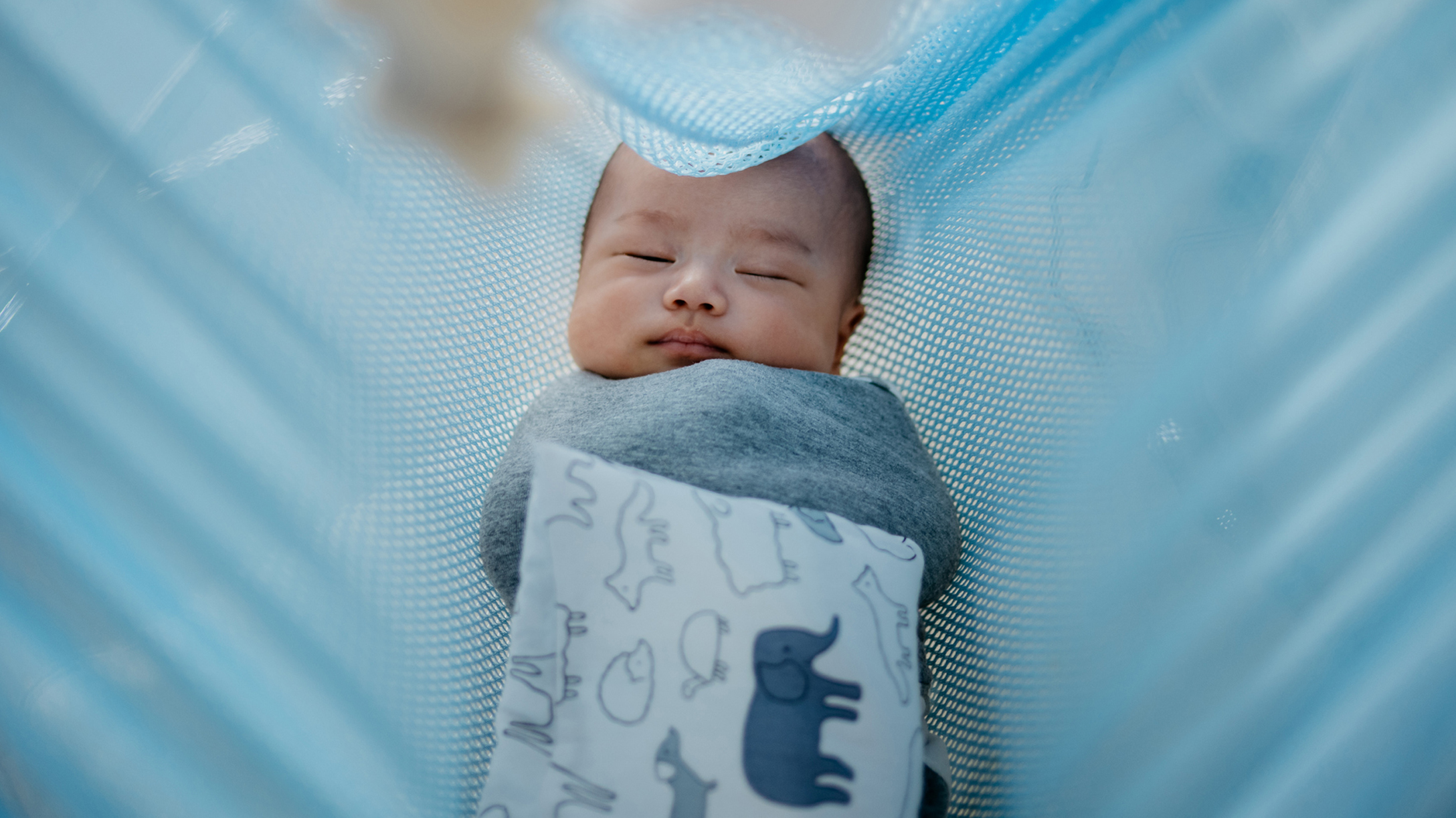 newborn nap schedule