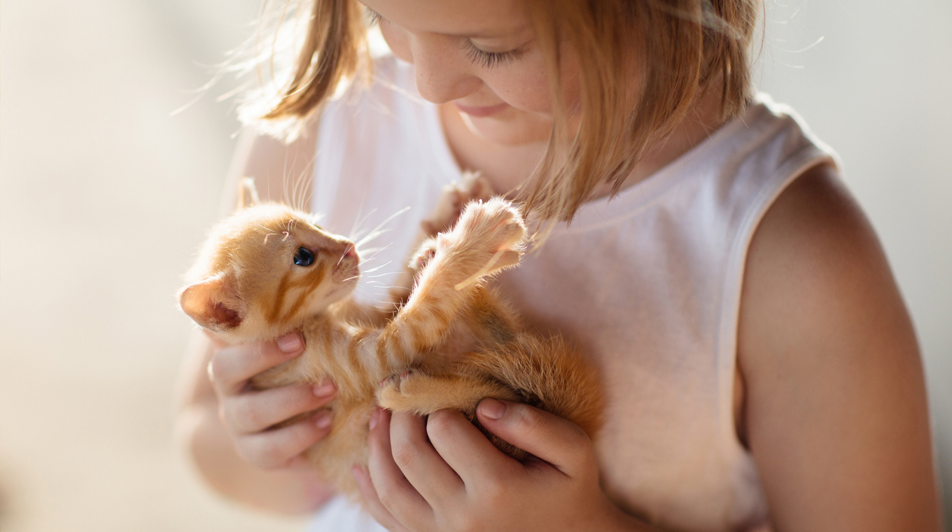 pet-adoption-covid-1.jpg