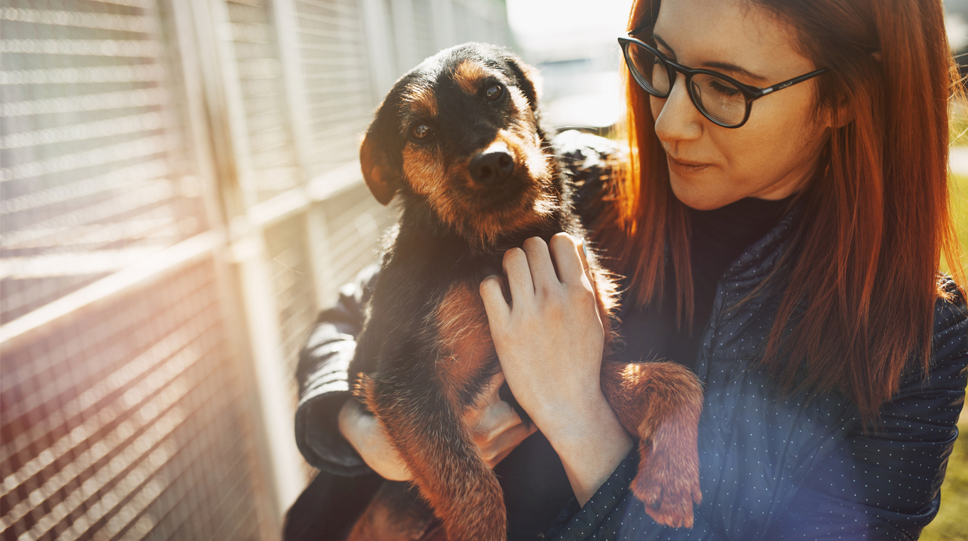 pet-adoption-covid-2.jpg