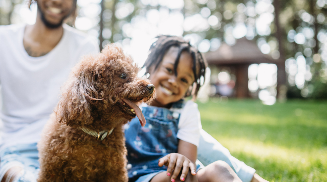 pet-adoption-covid-3.jpg
