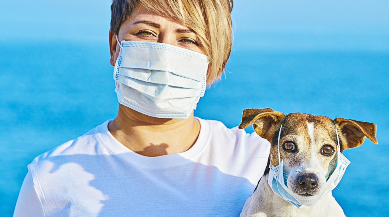 pet-care-COVID-1.jpg