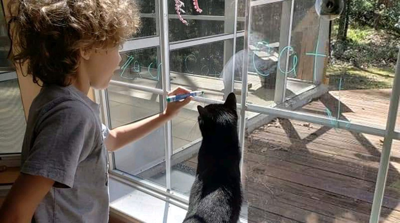 say_goodbye_to_pet_1.jpg
