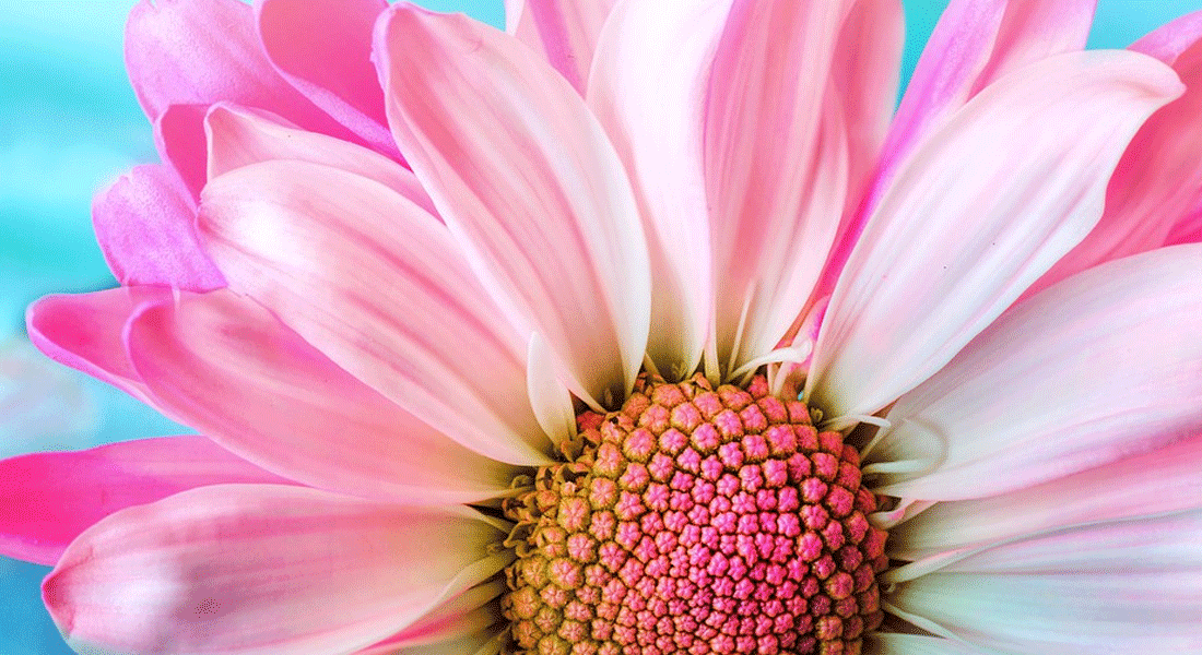 test2.gif